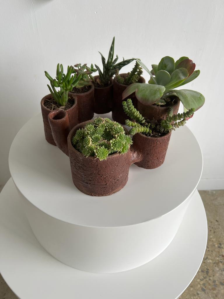 Toyo par Léa Caïe - ensemble de pots façonnés à la main, reliés par un tube d'irrigation
