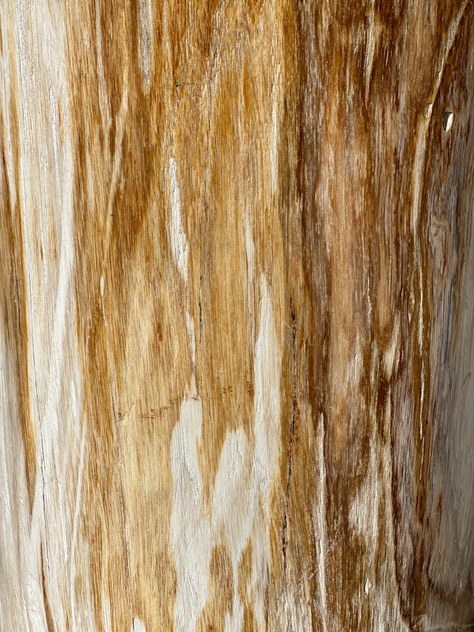 Table d'appoint en bois pétrifié multicolore à dominante claire H:36cm D:25cm