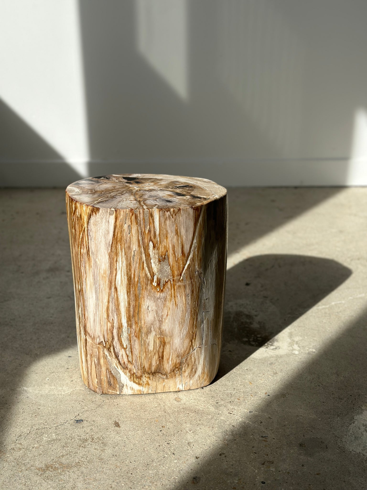 Table d'appoint en bois pétrifié multicolore à dominante claire H:36cm D:25cm