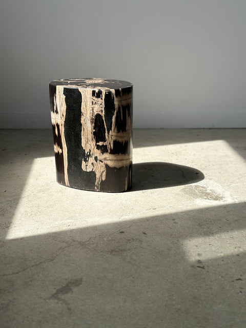 Table d'appoint en bois pétrifié