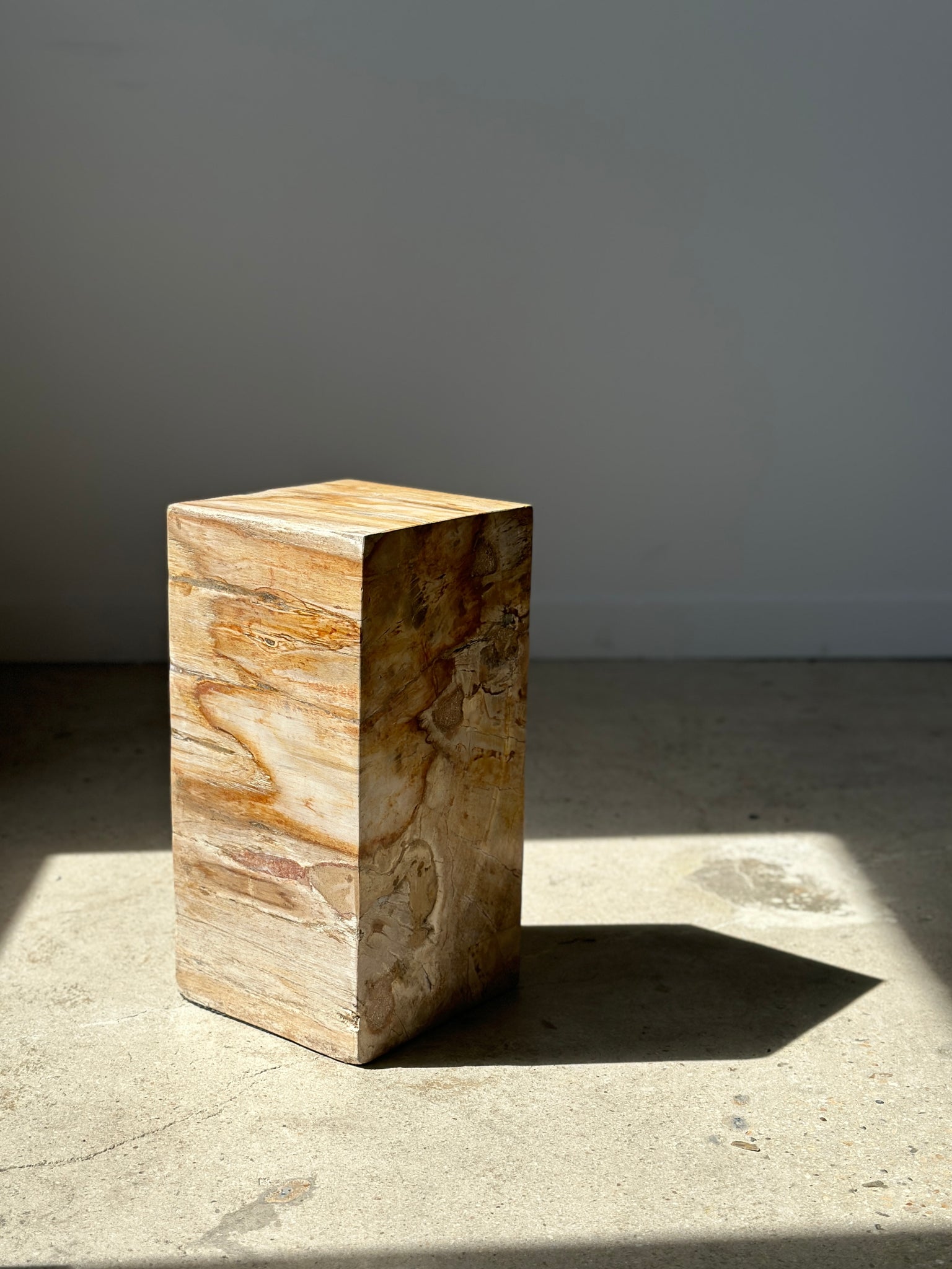 Table d'appoint en bois pétrifié H:40cm
