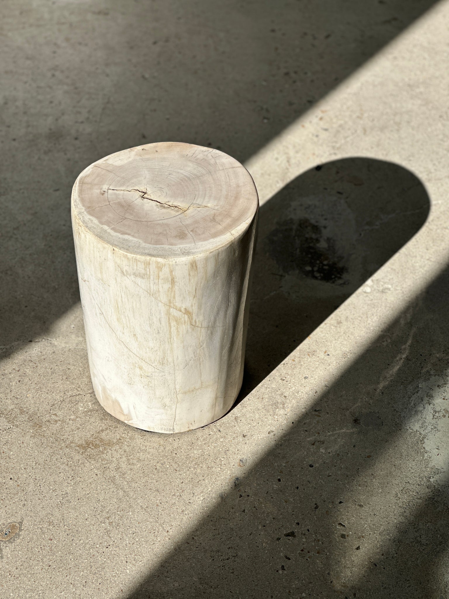 Table d'appoint en bois pétrifié blanc