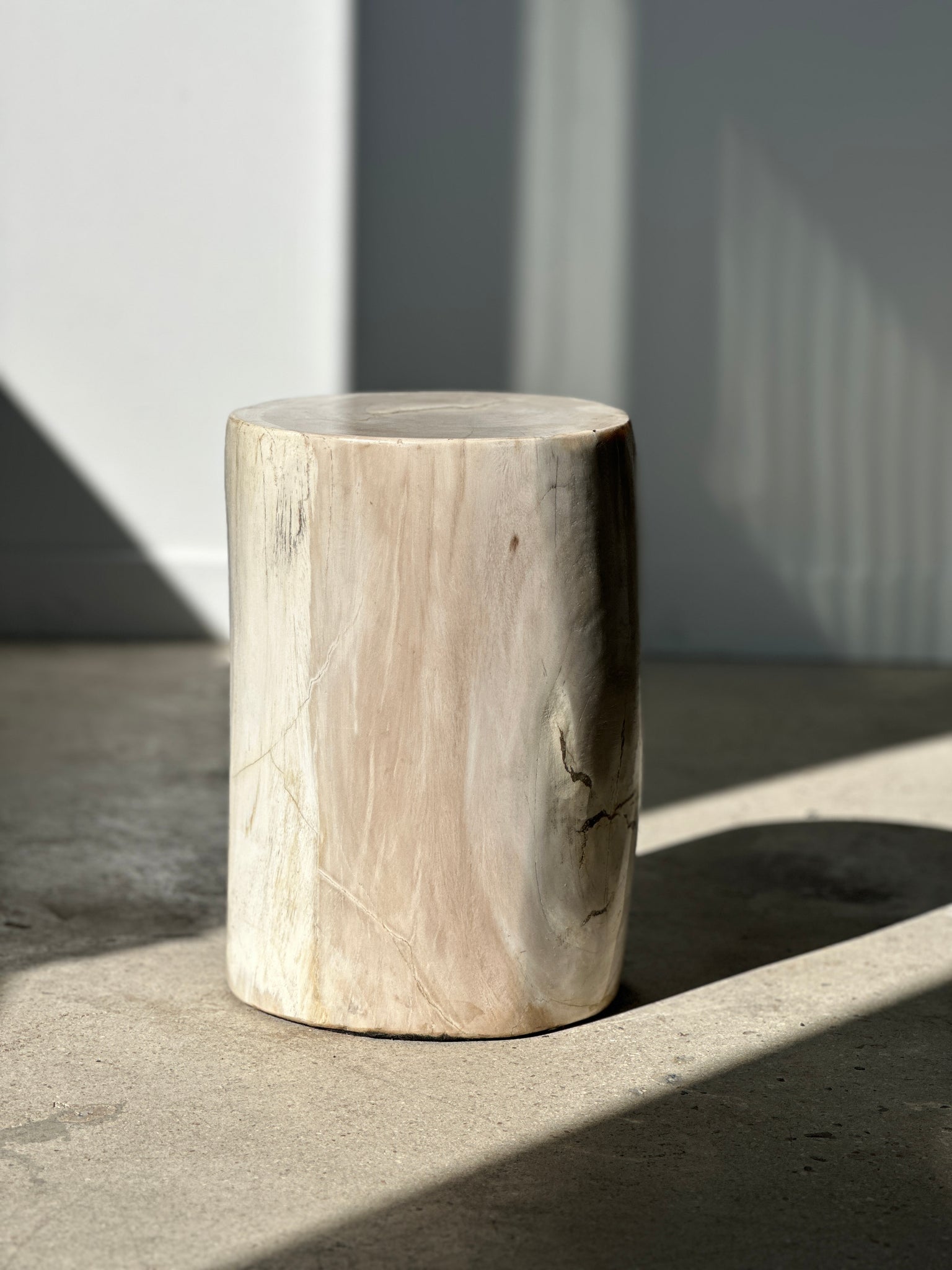 Table d'appoint en bois pétrifié blanc