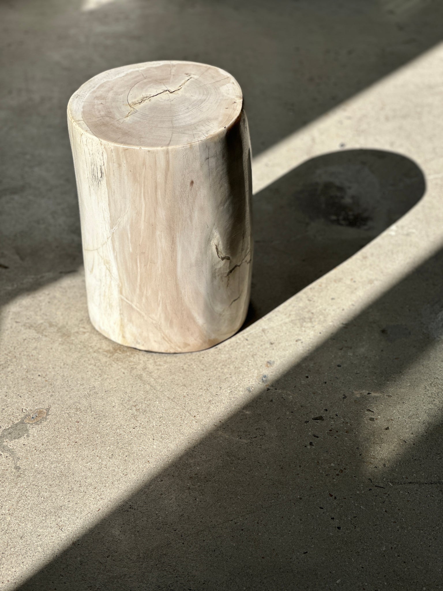 Table d'appoint en bois pétrifié blanc