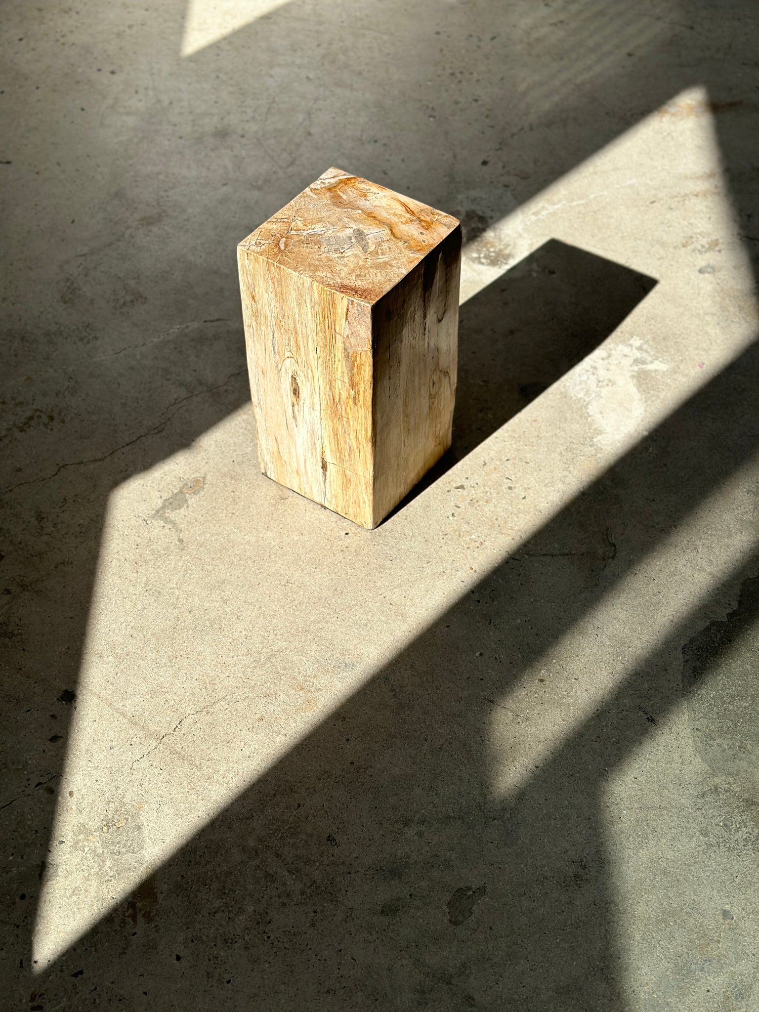 Table d'appoint en bois pétrifié rectangulaire blanc