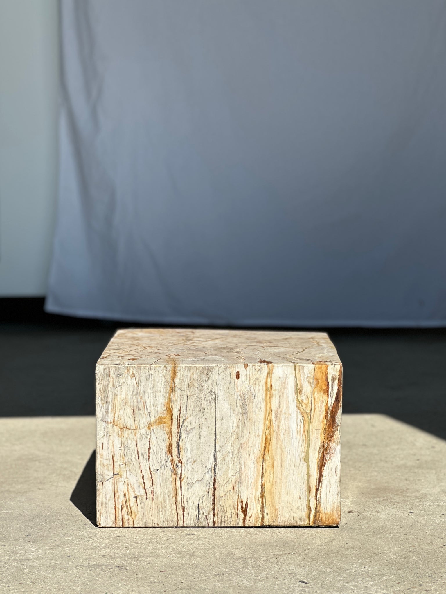Table d'appoint en bois pétrifié blanc H:25 L:37