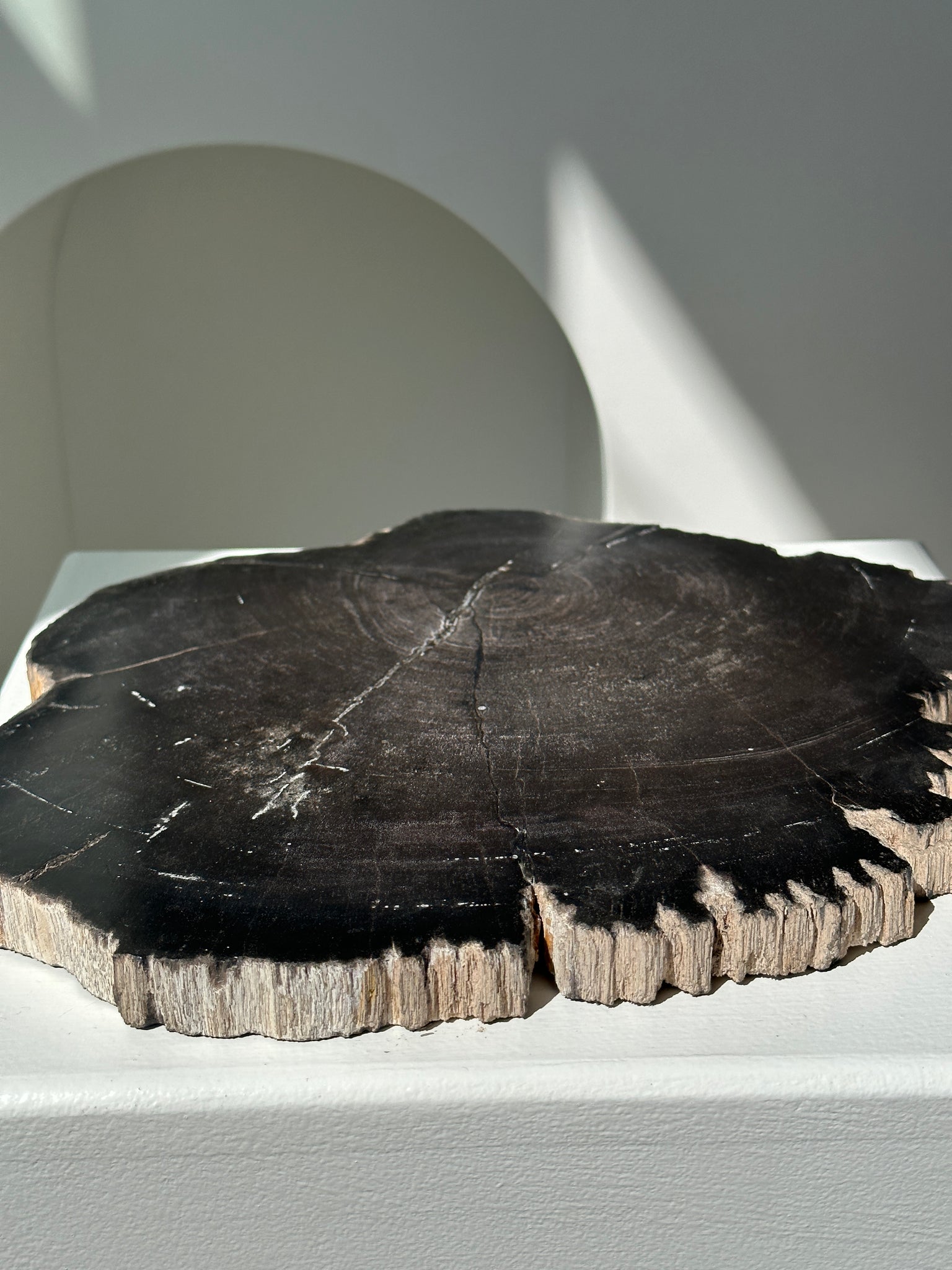 Grand plat ou dessous de plat en bois pétrifié noir organique 26x31