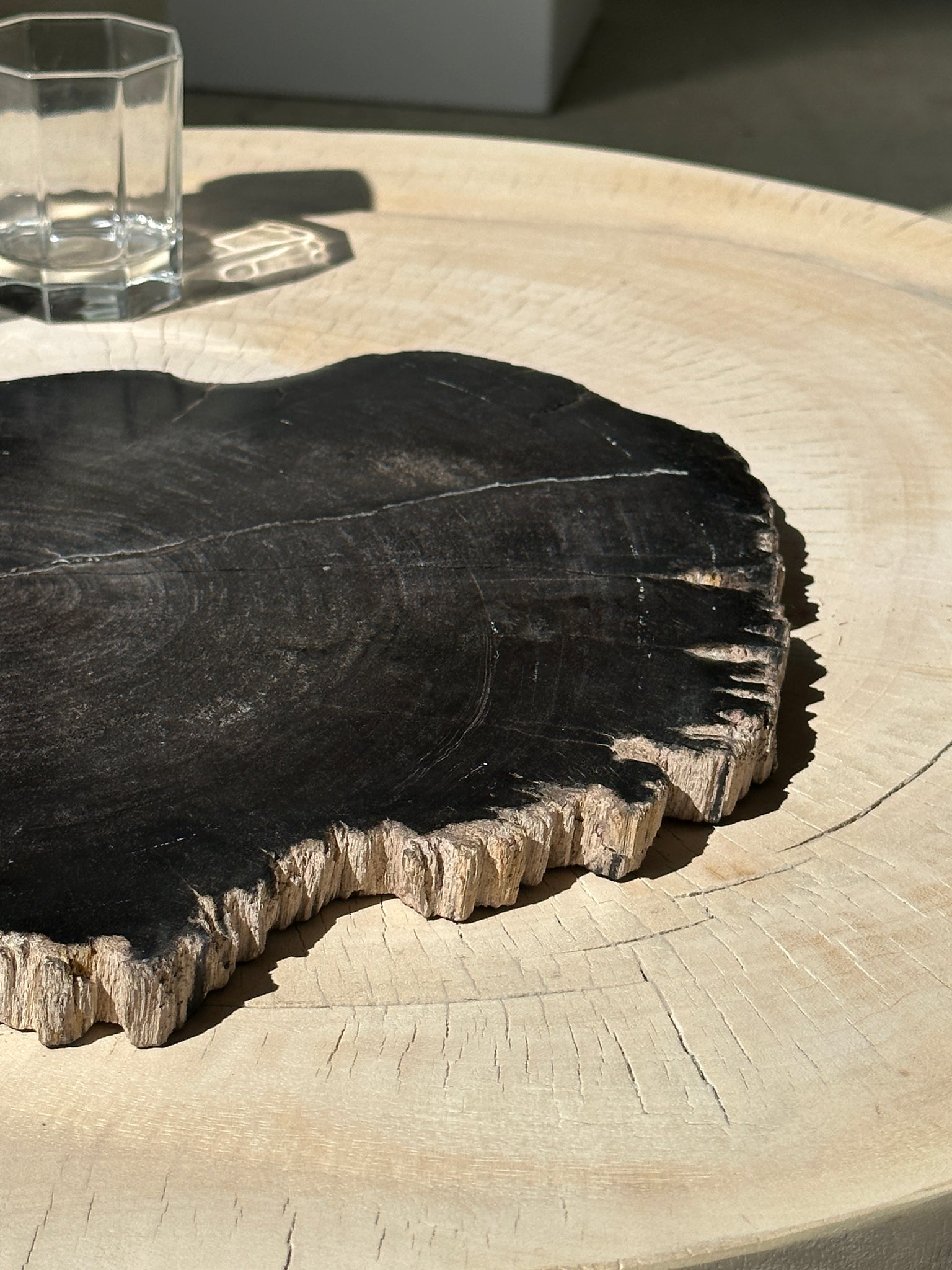 Grand plat ou dessous de plat en bois pétrifié noir organique 26x31