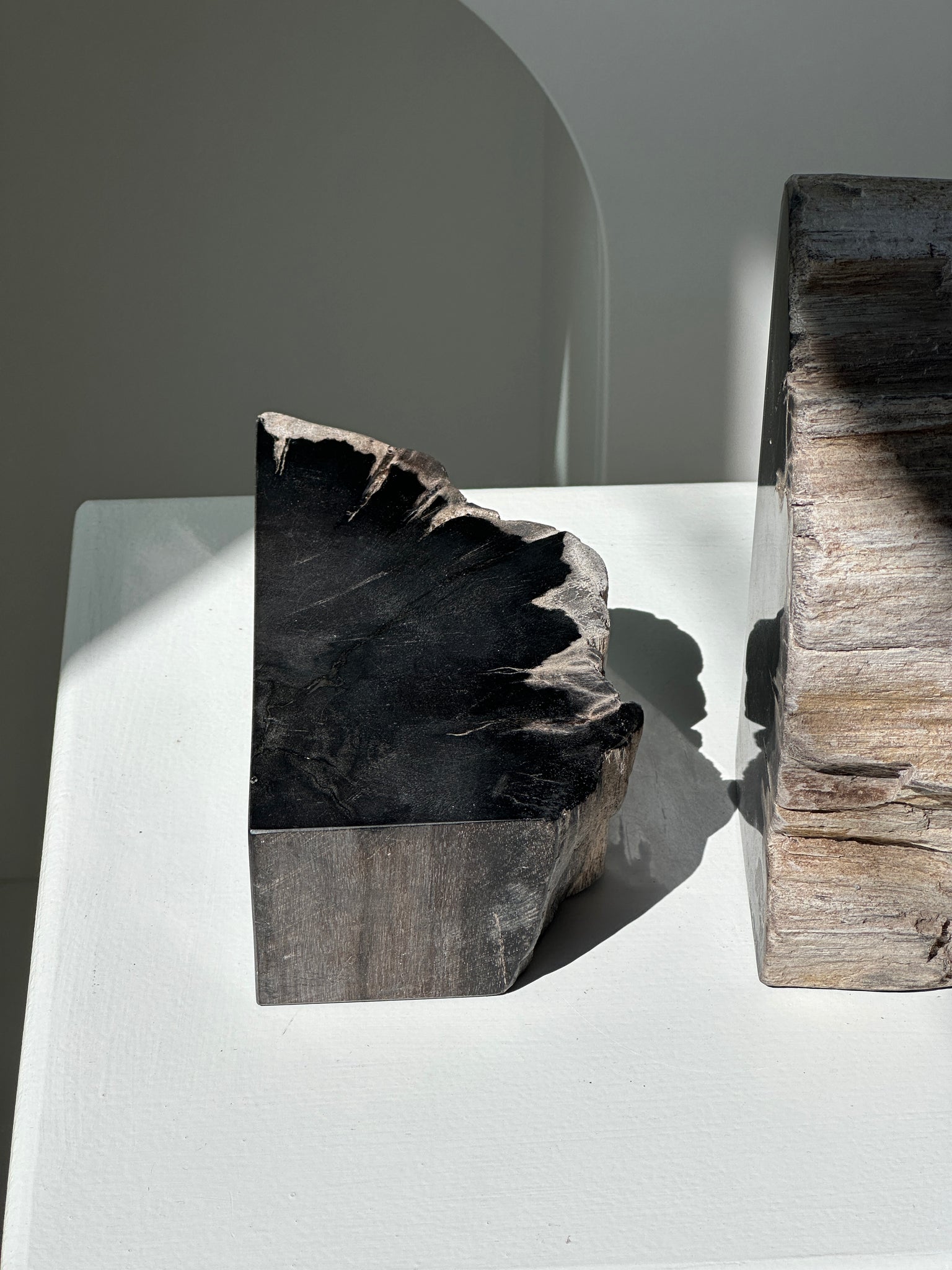 Serre-livre en bois pétrifié noir H17 L17 P6