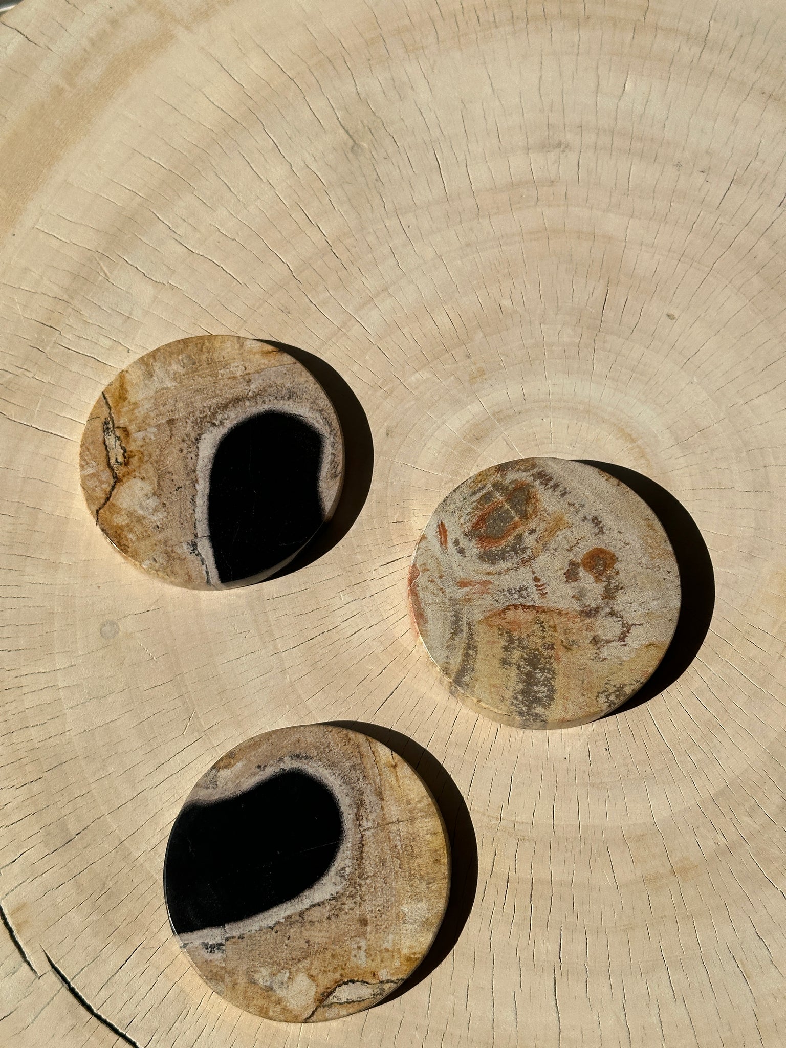 Ensemble de 3 dessous de verre en bois fossilisé (clairs)