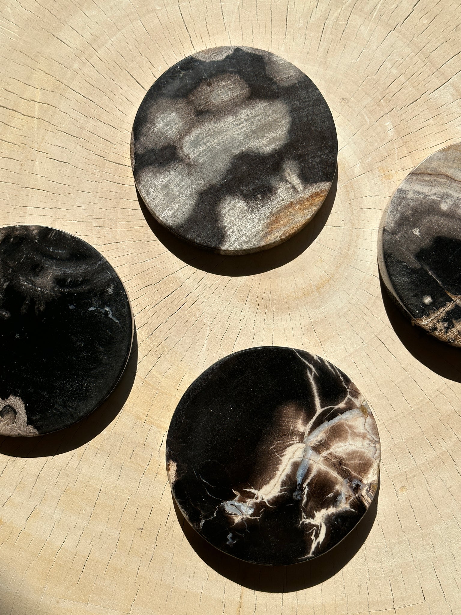 Ensemble de 4 dessous de verre en bois fossilisé