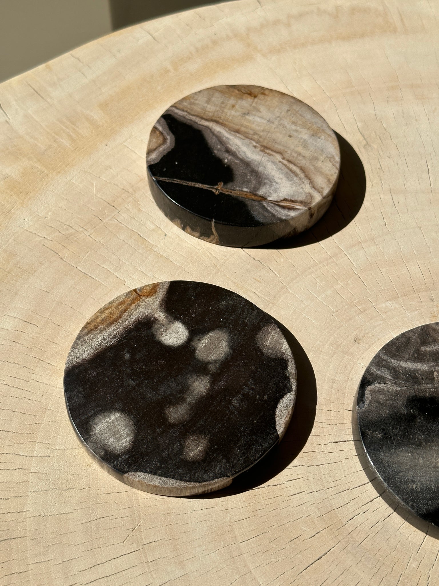 Ensemble de 4 dessous de verre en bois fossilisé