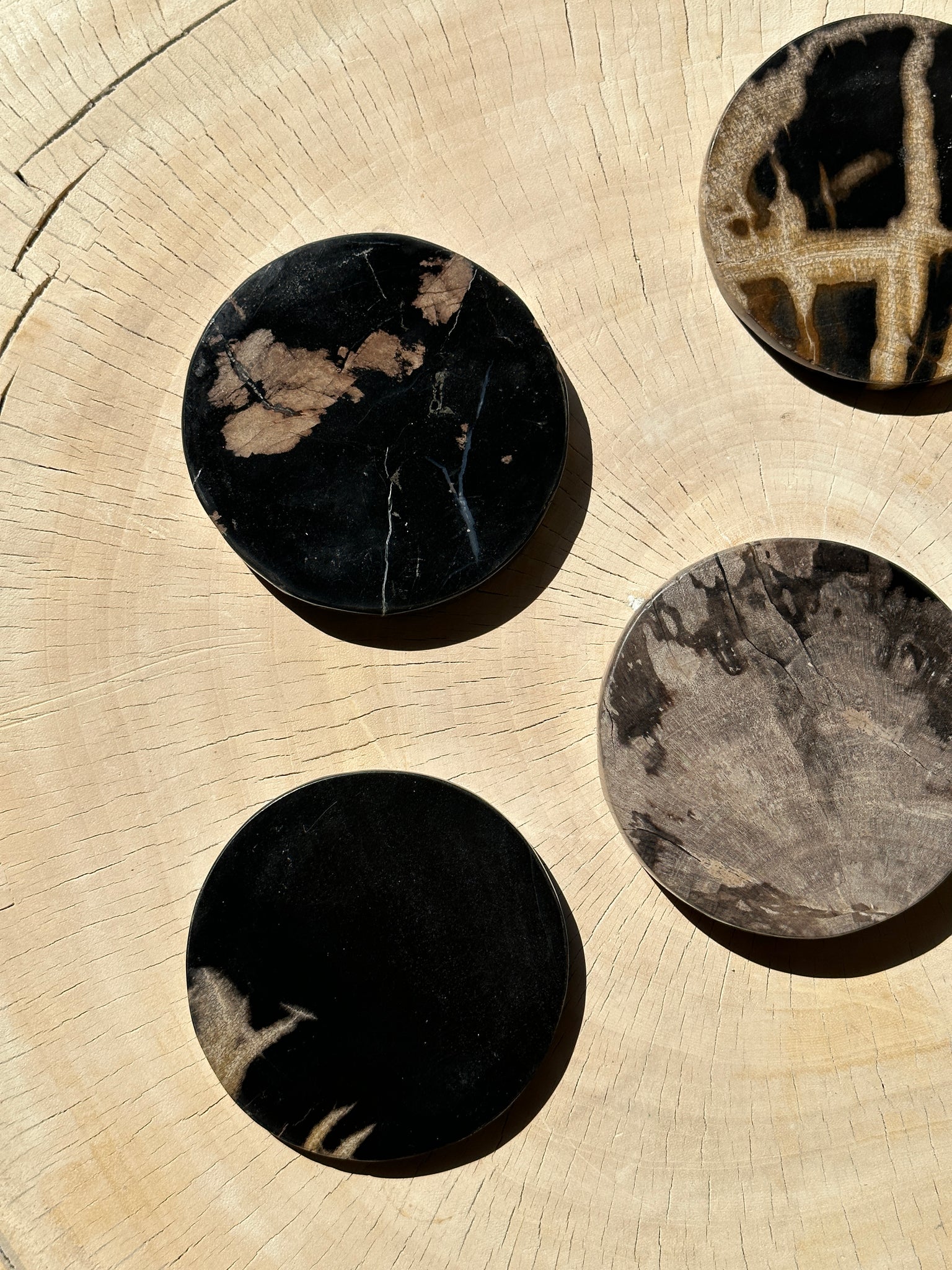 Ensemble de 4 dessous de verre en bois fossilisé (larges, 2 épais, 2 fins)