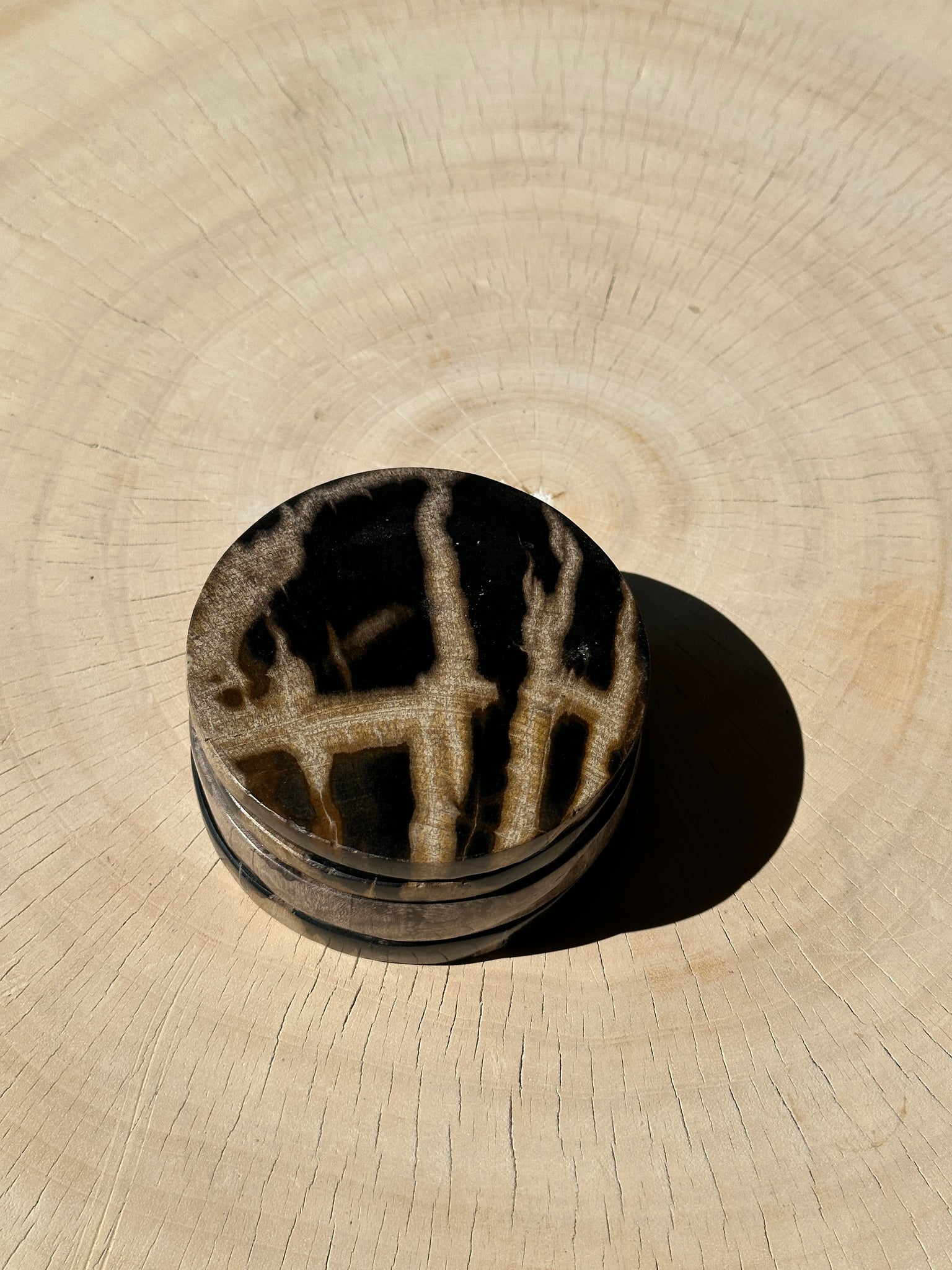 Ensemble de 4 dessous de verre en bois fossilisé (larges, 2 épais, 2 fins)