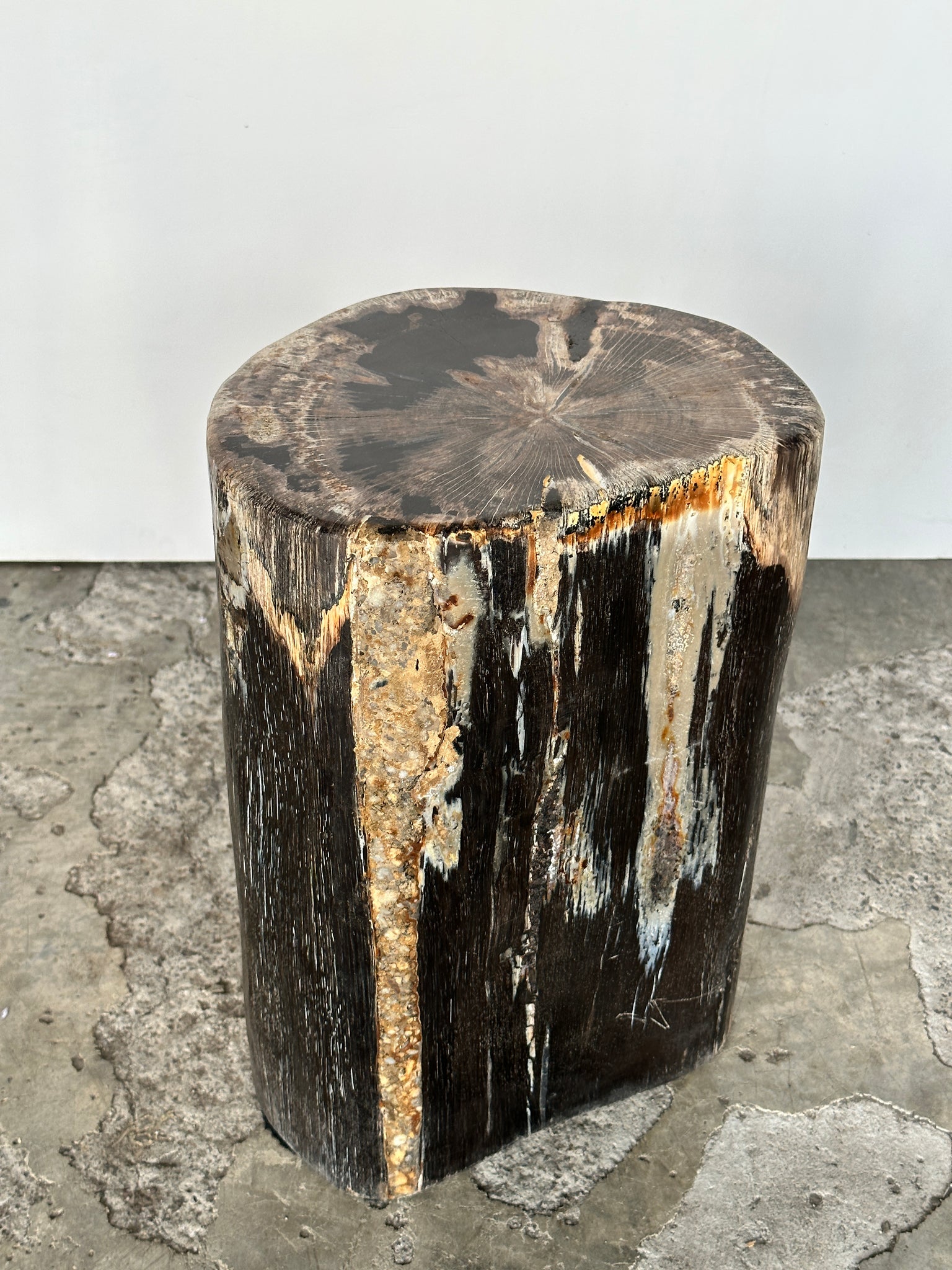 Table d'appoint en bois pétrifié organique multicolore brun H:39 D:21-26