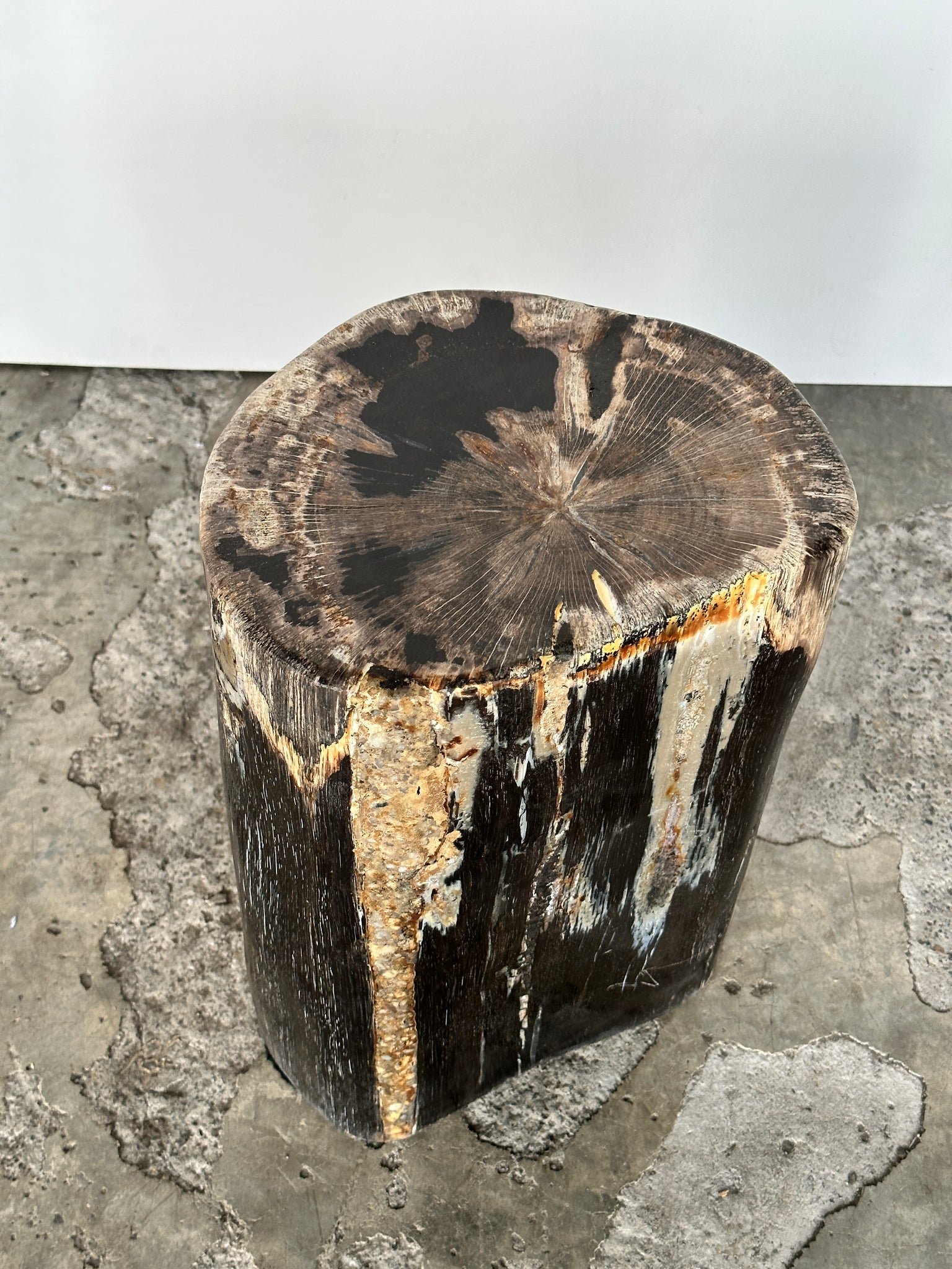 Table d'appoint en bois pétrifié organique multicolore brun H:39 D:21-26