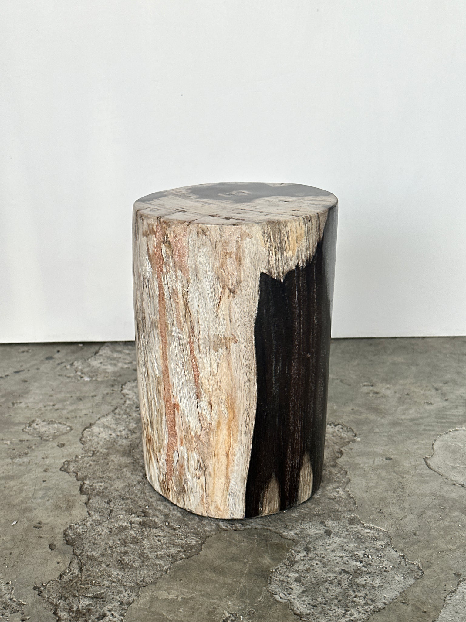 Petite table d'appoint en bois pétrifié noire et blanche H28cm D:18
