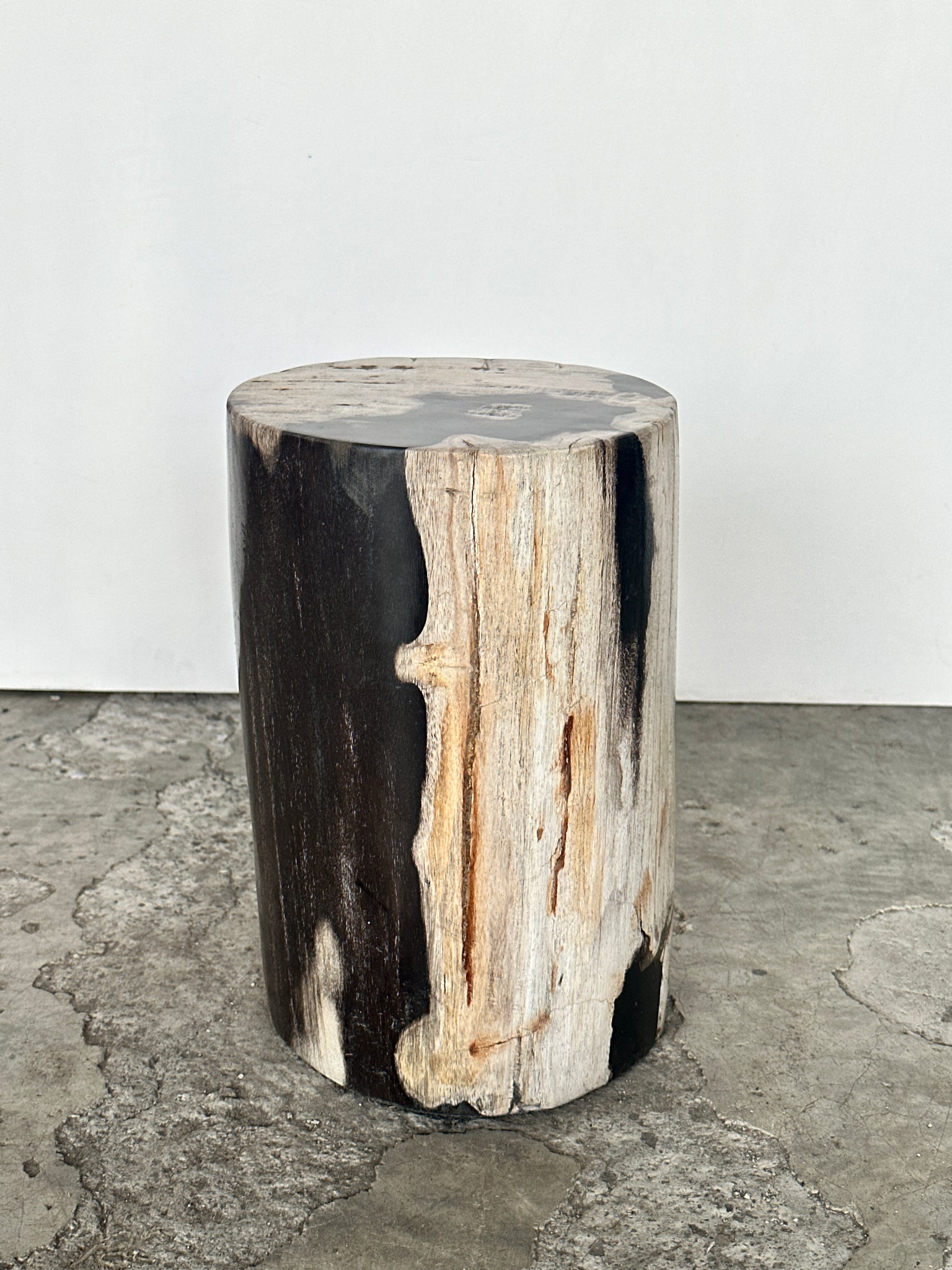 Petite table d'appoint en bois pétrifié noire et blanche H28cm D:18