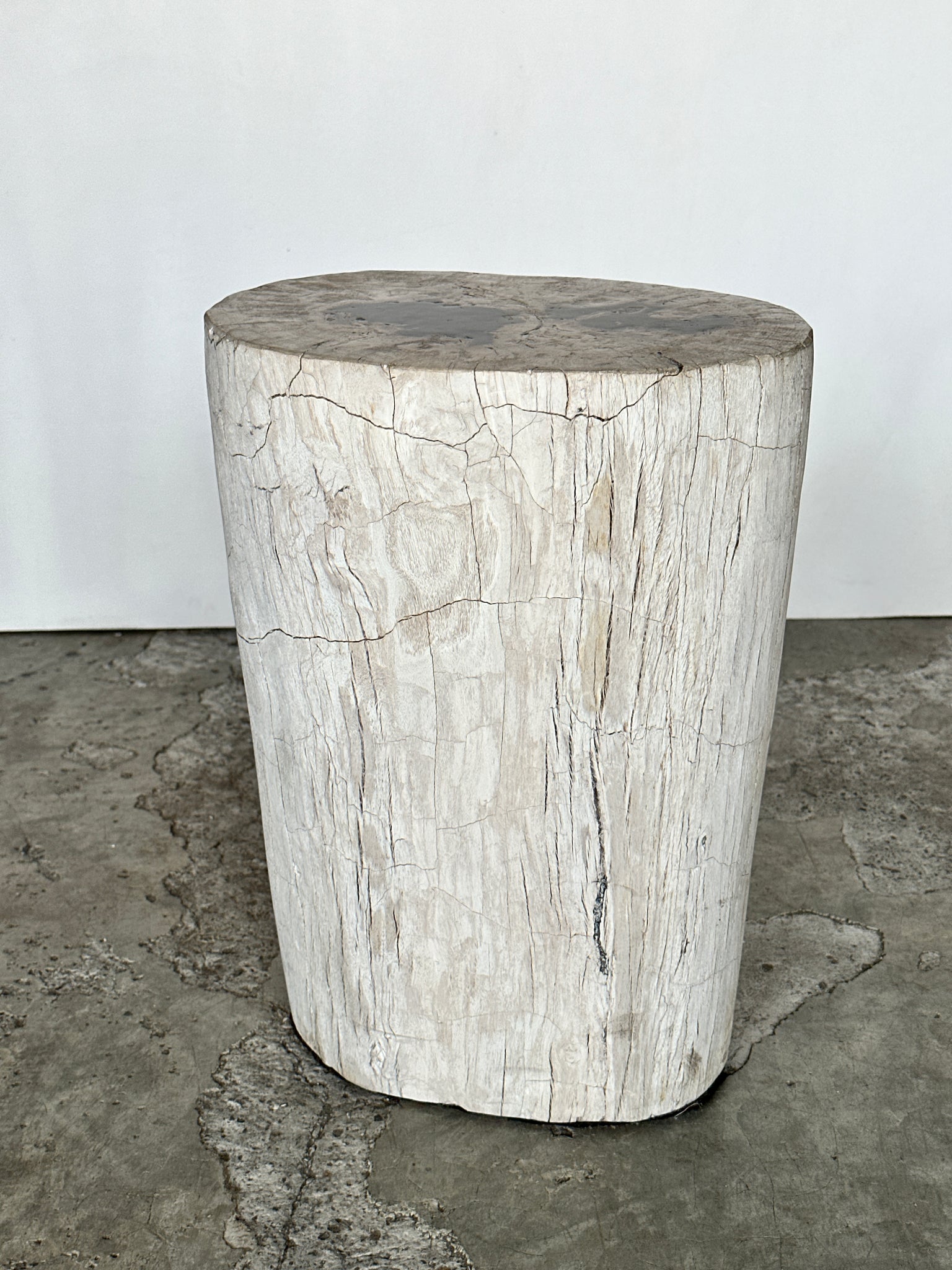 Table d'appoint en bois pétrifié à dominante blanche taches noires au cœur H:41 D:20