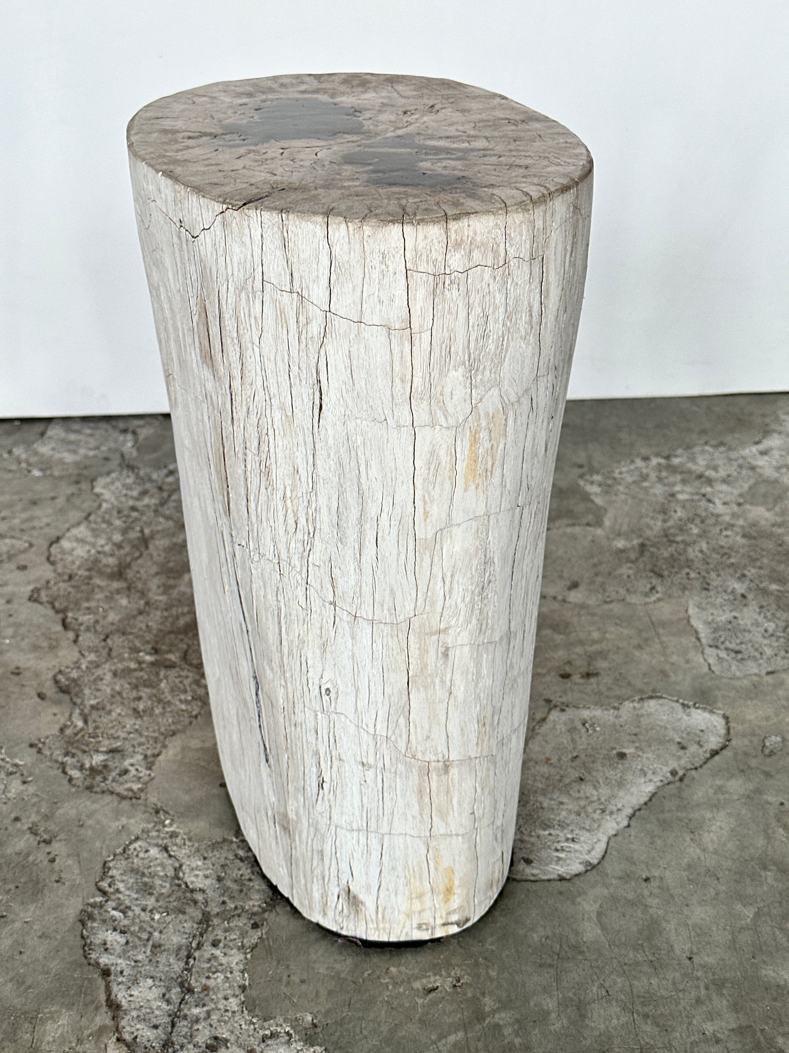 Table d'appoint en bois pétrifié à dominante blanche taches noires au cœur H:41 D:20