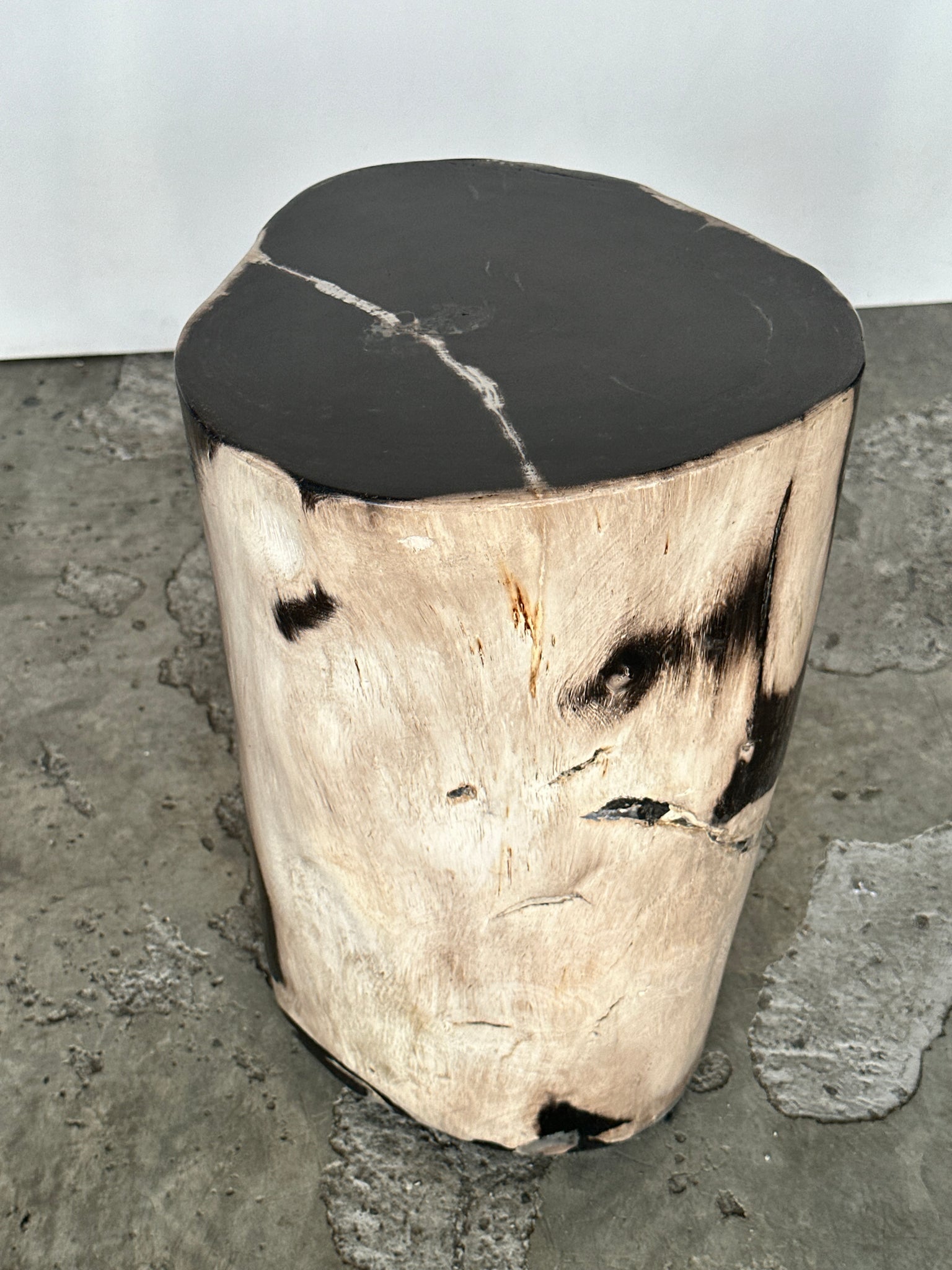 Table d'appoint en bois pétrifié blanc, cœur noir fissure blanche sur le dessus H40 D26