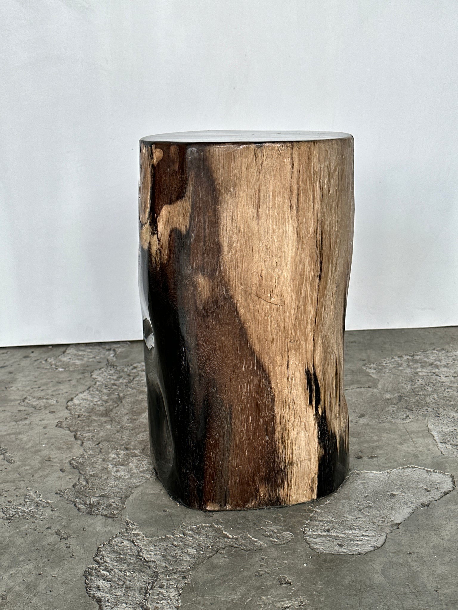 Table d'appoint en bois pétrifié cœur noir écorce capuccino H40 D23