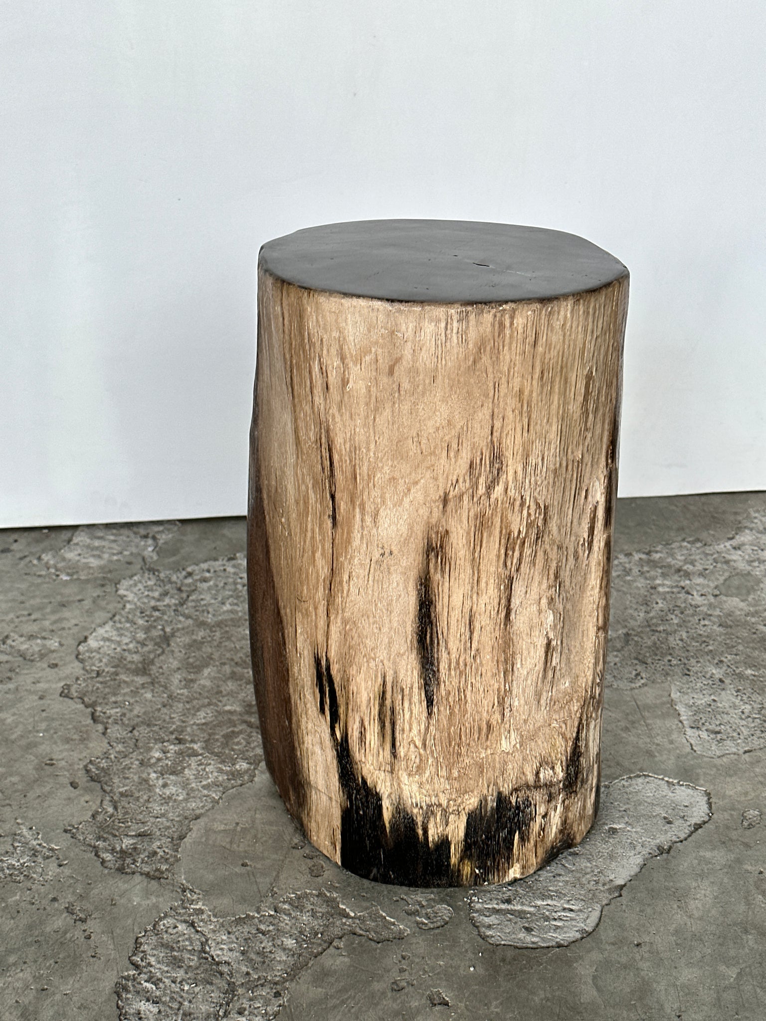 Table d'appoint en bois pétrifié cœur noir écorce capuccino H40 D23