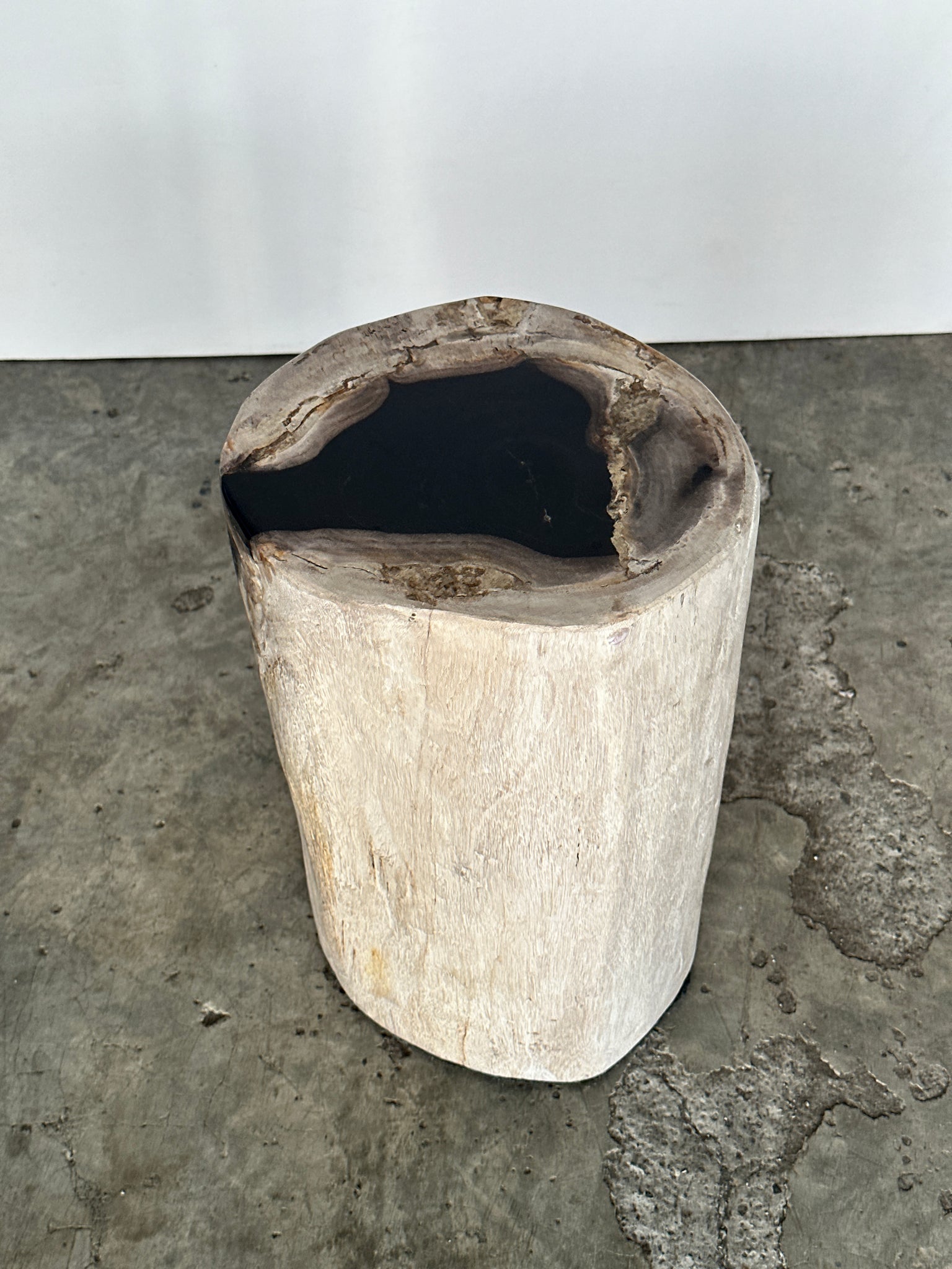 Table d'appoint en bois pétrifié blanc cœur noir H41 D21-24
