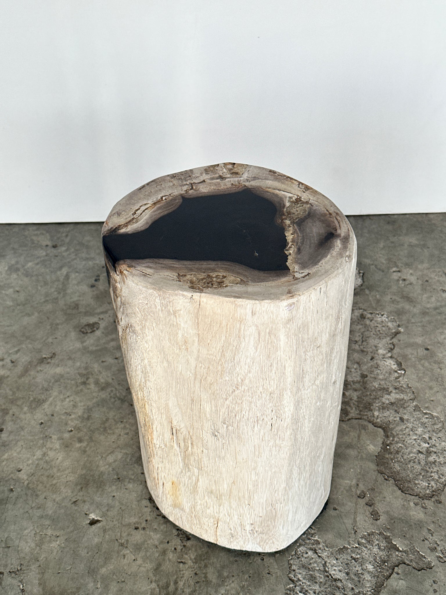 Table d'appoint en bois pétrifié blanc cœur noir H41 D21-24