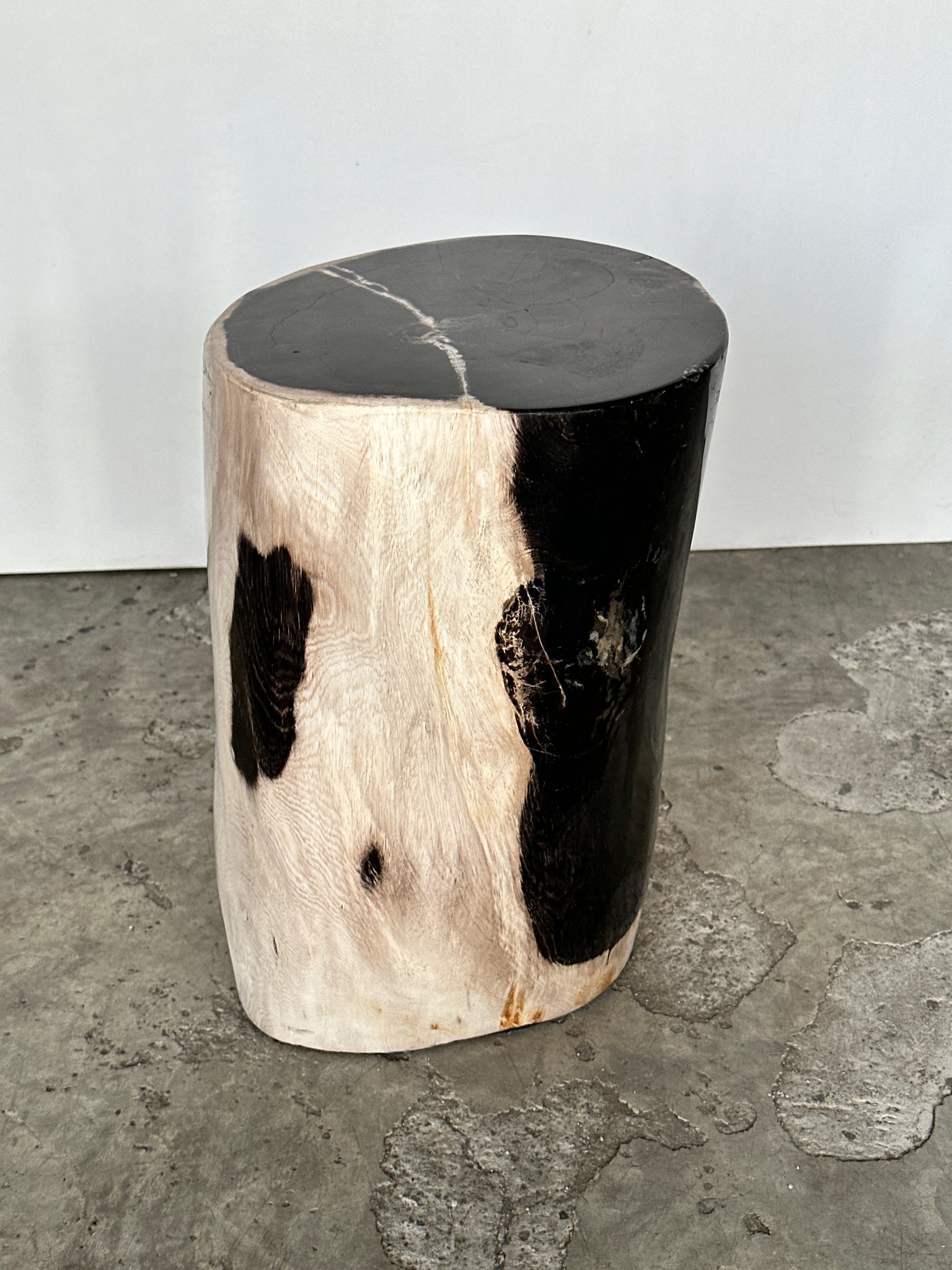 Table d'appoint en bois pétrifié écorce blanc cœur noir fissure blanche H:40 D:24-27