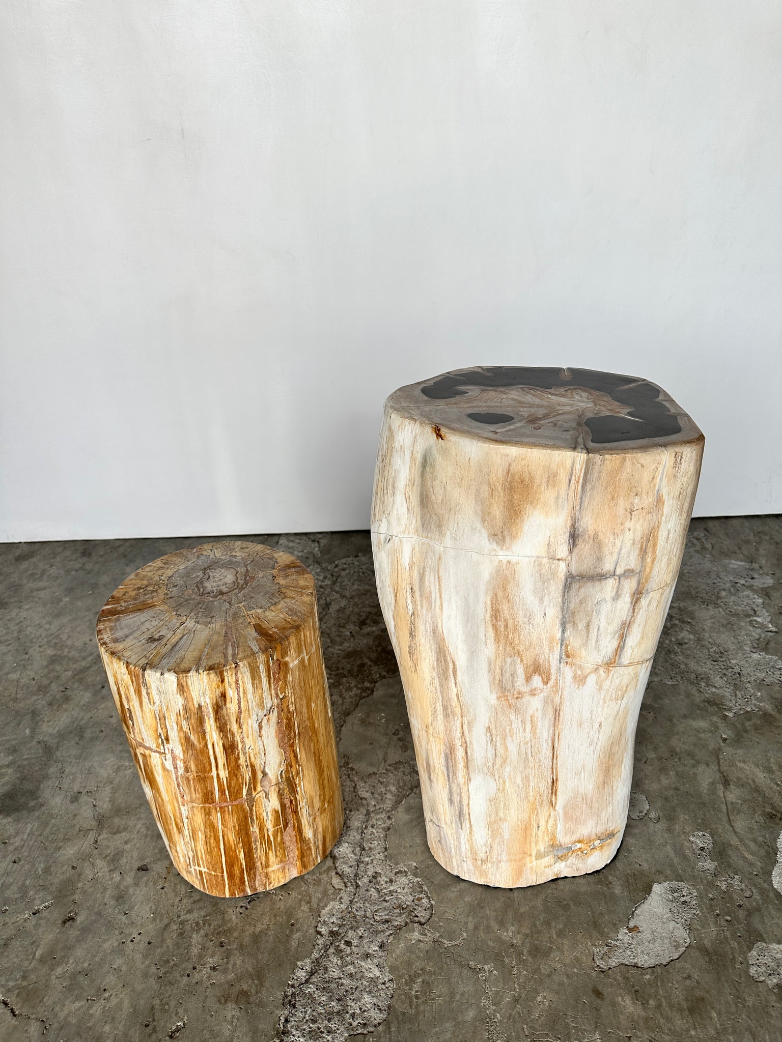 Grande table d'appoint en bois pétrifié organique écorce blanche cœur croissant noir H:56 D:31-23