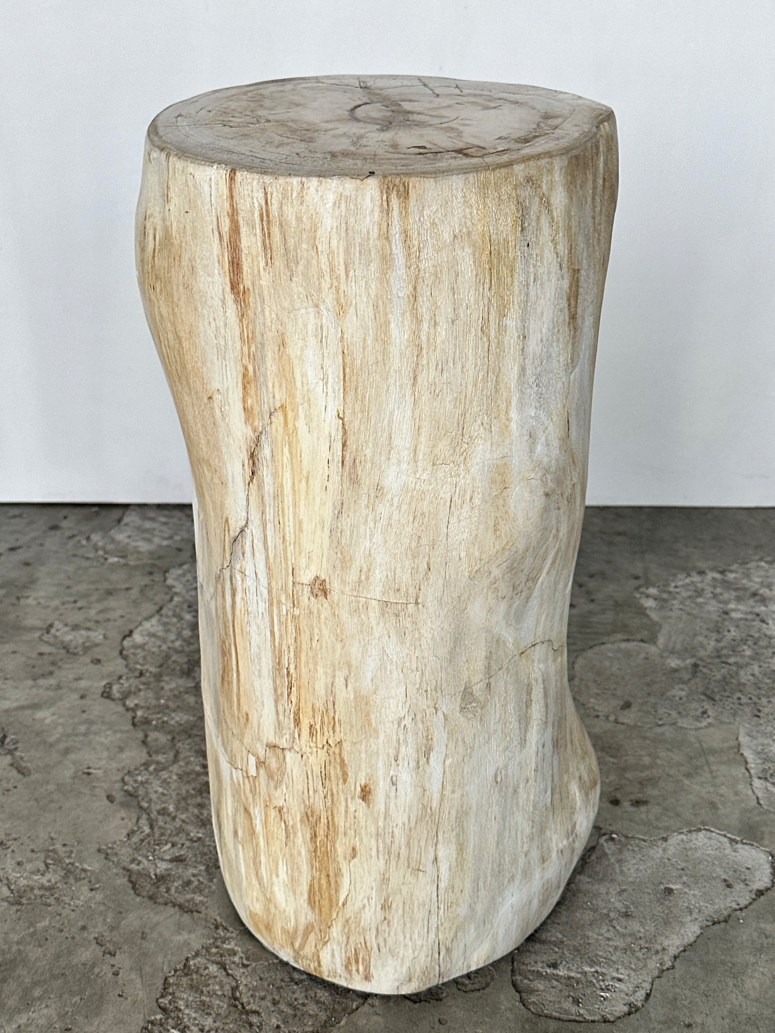 Grande d'appoint en bois pétrifié blanche nœud organique H:50 D:22-25