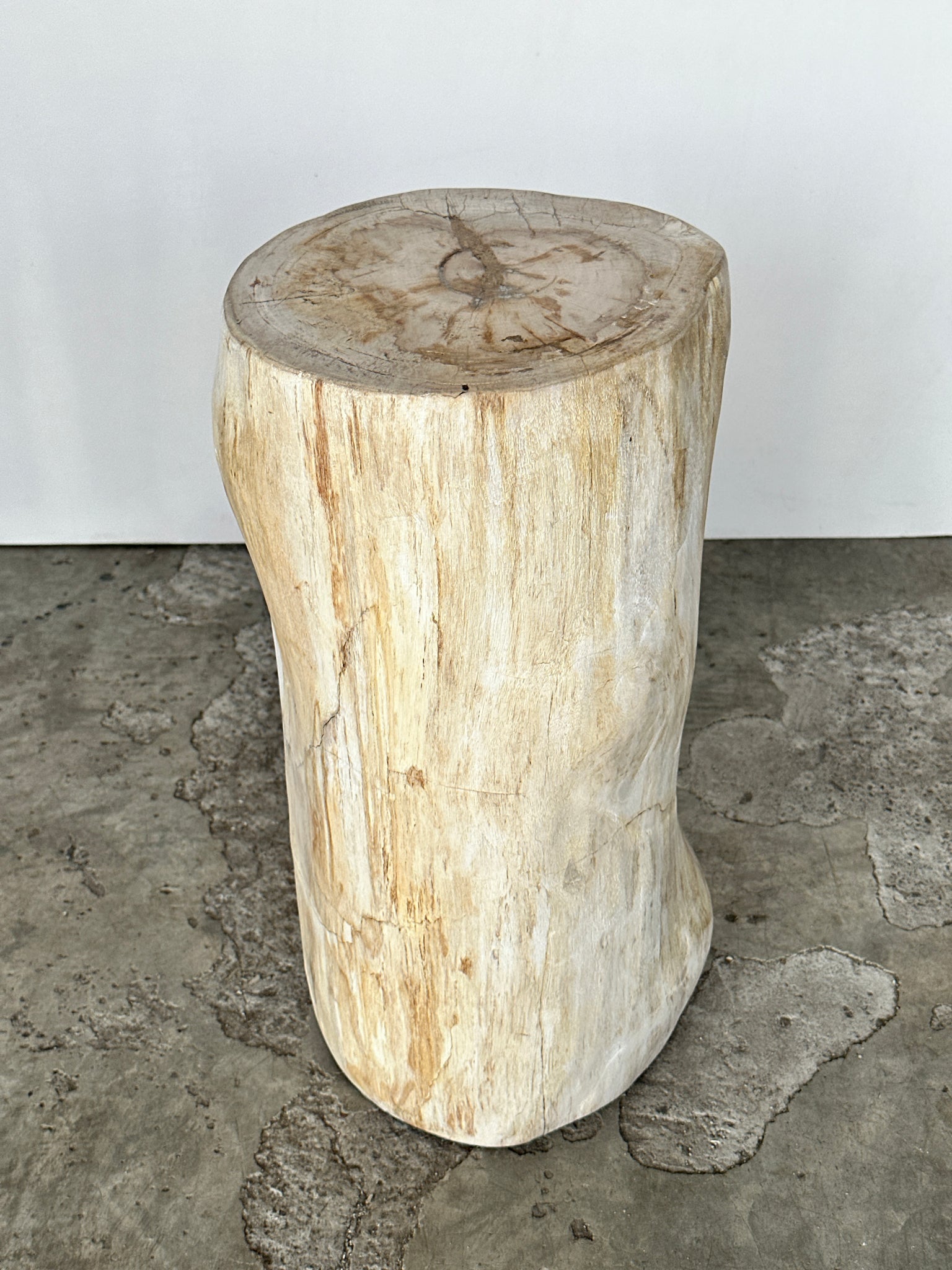 Grande d'appoint en bois pétrifié blanche nœud organique H:50 D:22-25