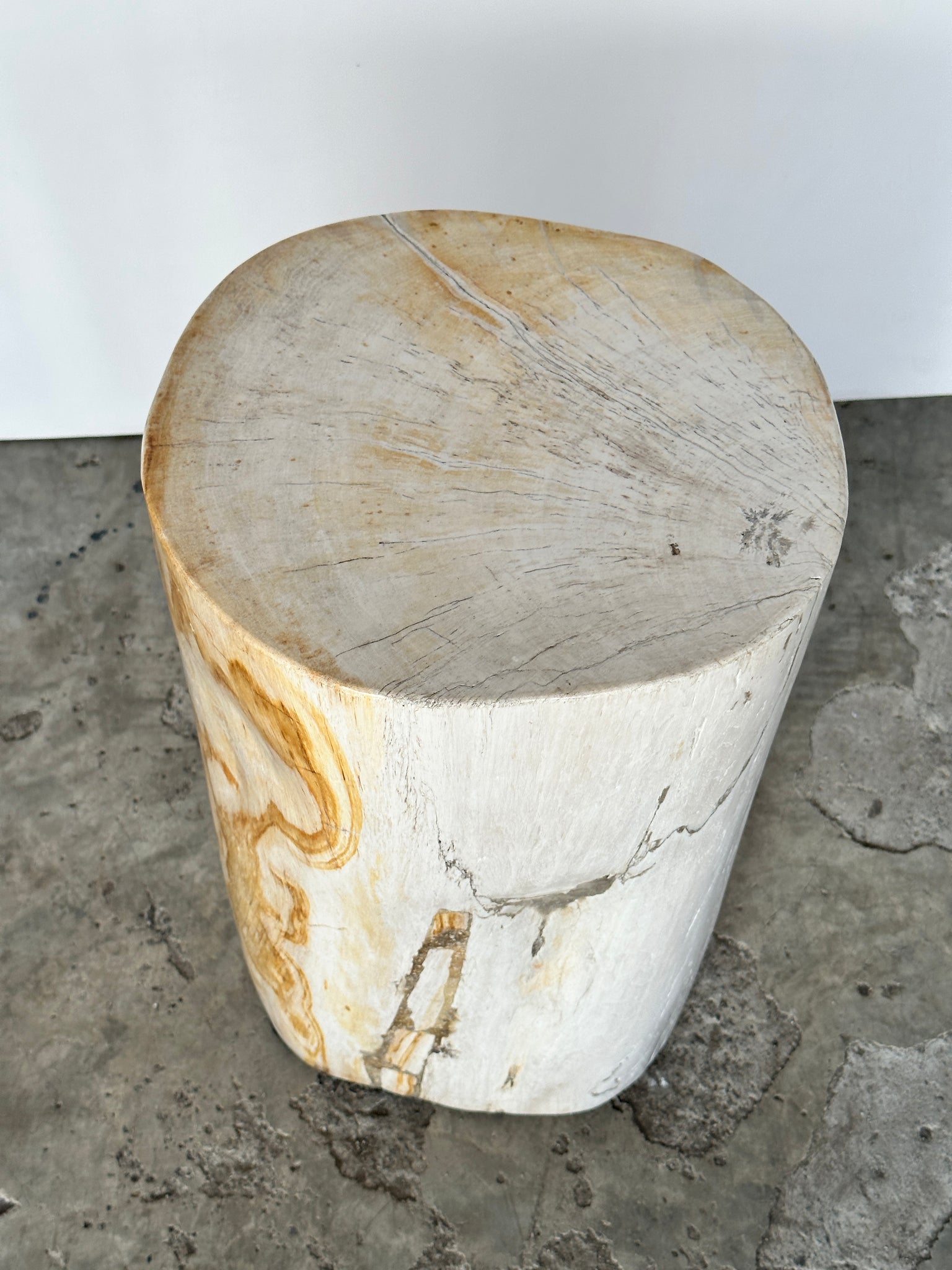 Grande table d'appoint en bois pétrifié blanche H:50 D:27