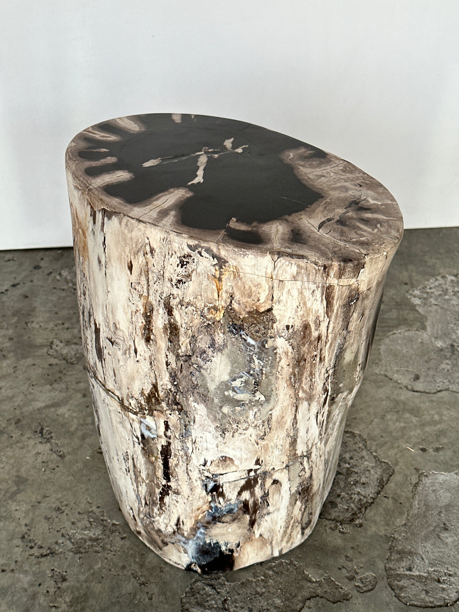 Table d'appoint en bois pétrifié ovale blanche réseau noir H45 D22-33