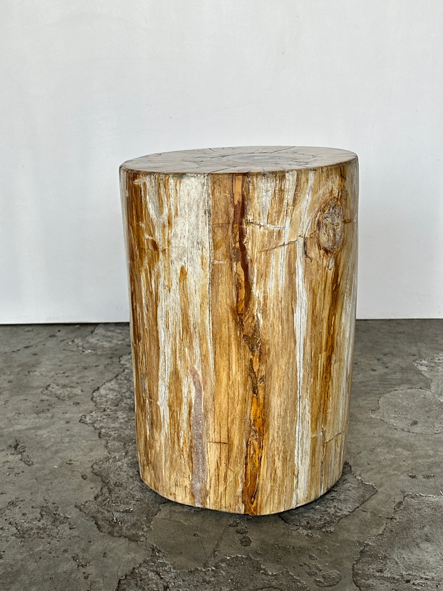 Table d'appoint en bois pétrifié blanc, jaune cœur gris et noir H35 D23