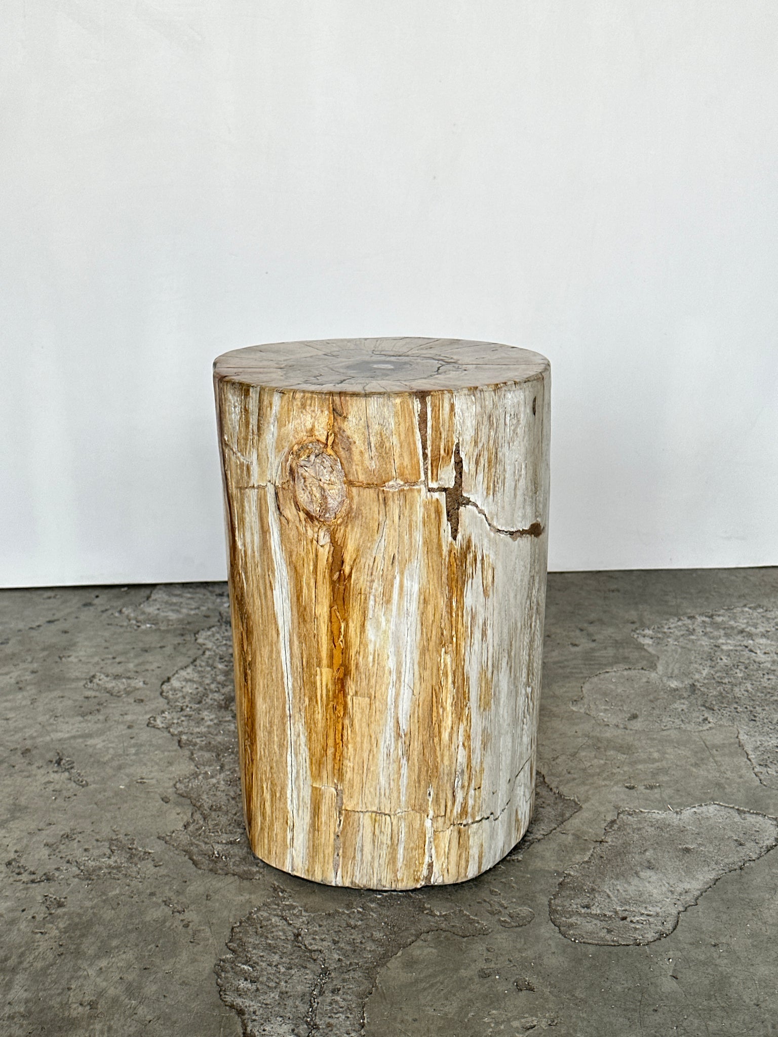 Table d'appoint en bois pétrifié blanc, jaune cœur gris et noir H35 D23