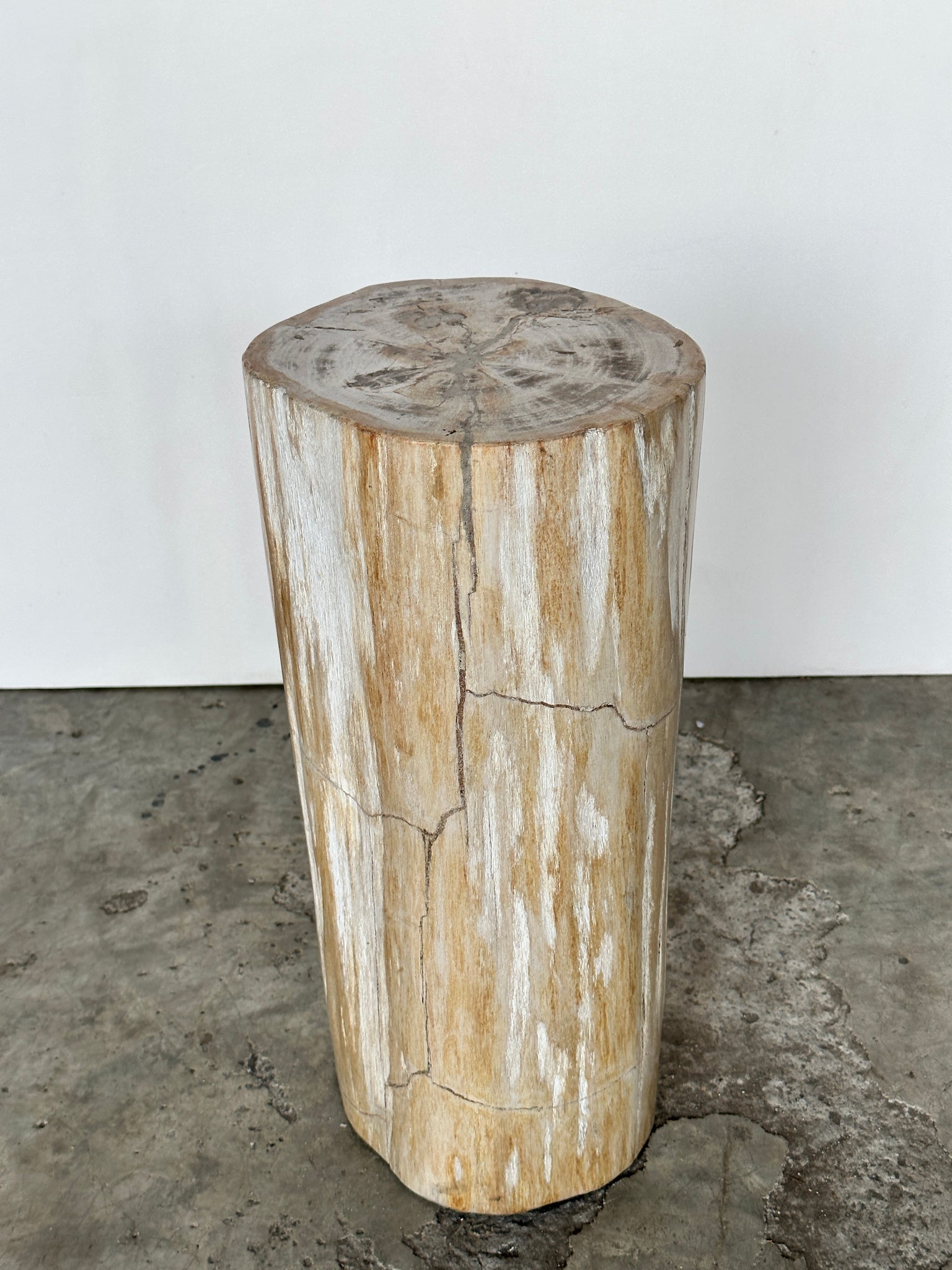 Table d'appoint en bois pétrifié blanche H:45 D:20