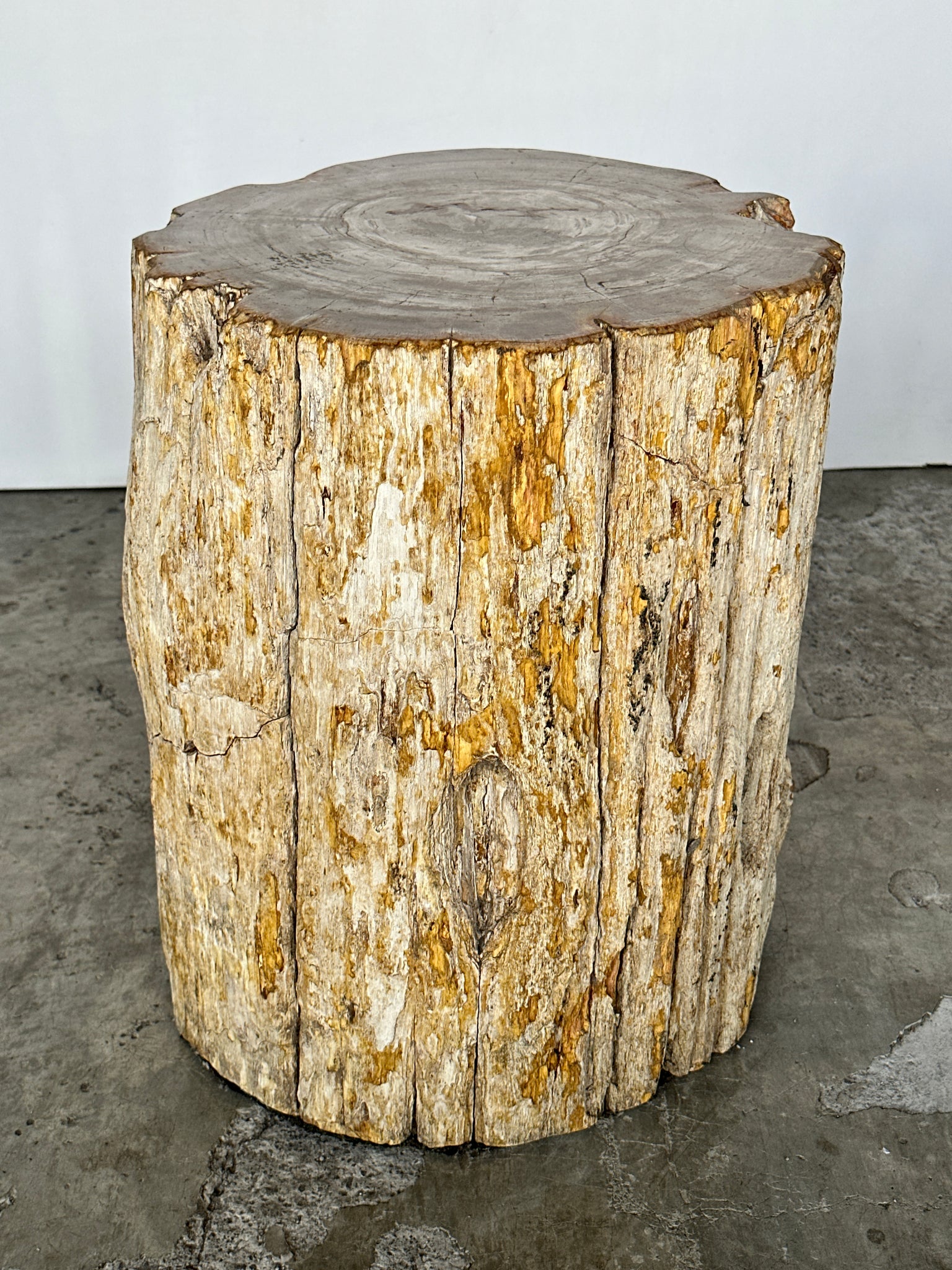Grande table d'appoint en bois pétrifié blanc cassé écorce organique H:45 D:35-37