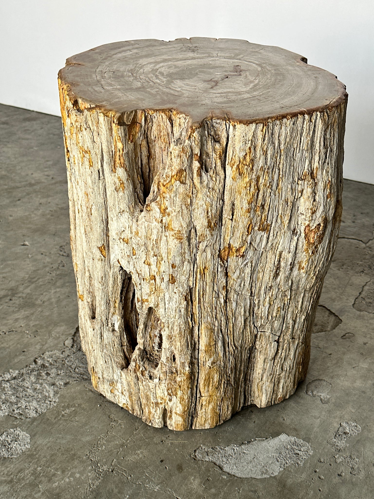 Grande table d'appoint en bois pétrifié blanc cassé écorce organique H:45 D:35-37
