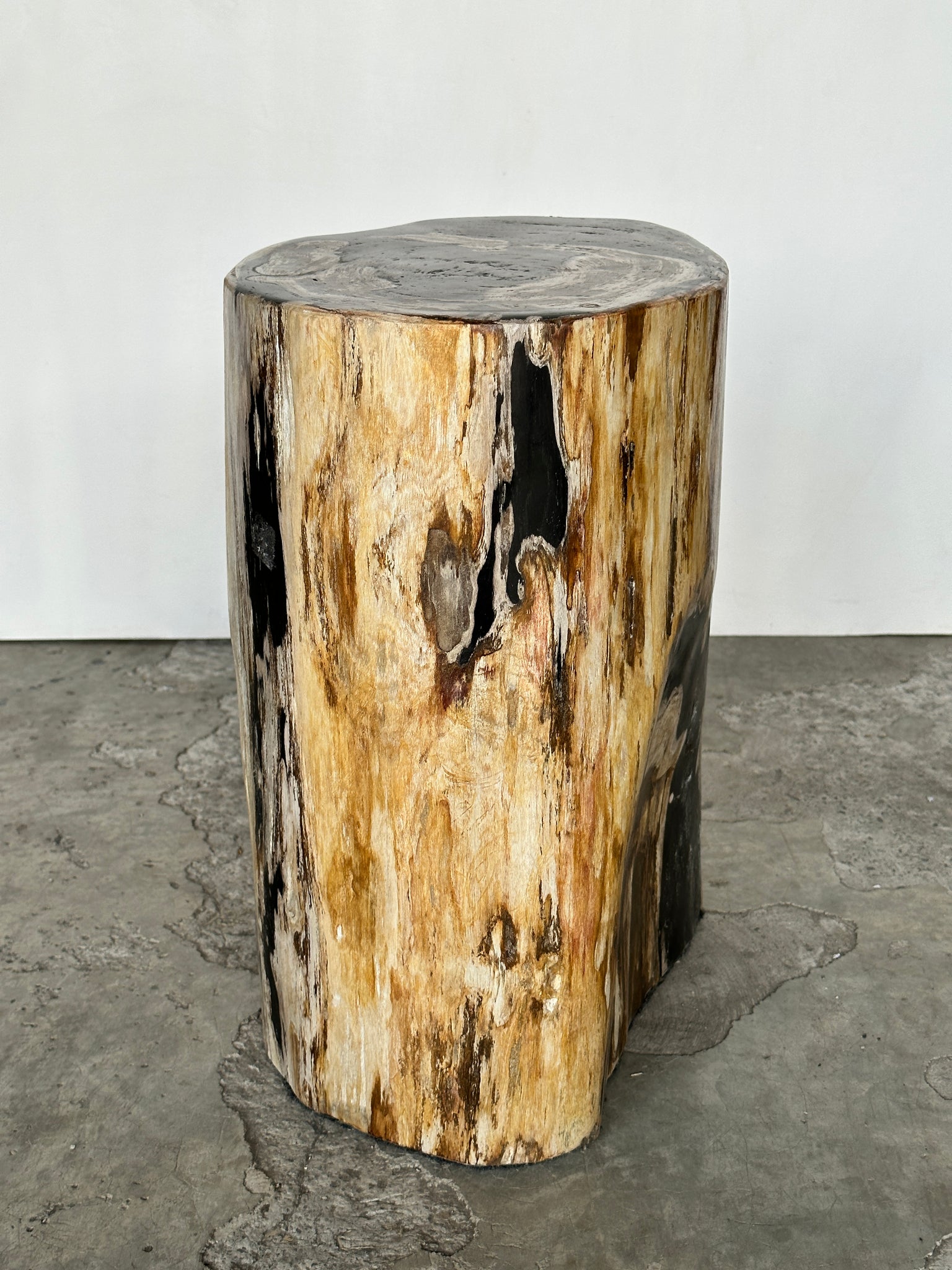 Grande table d'appoint en bois pétrifié organique multicolore noire H:45 D:26-36