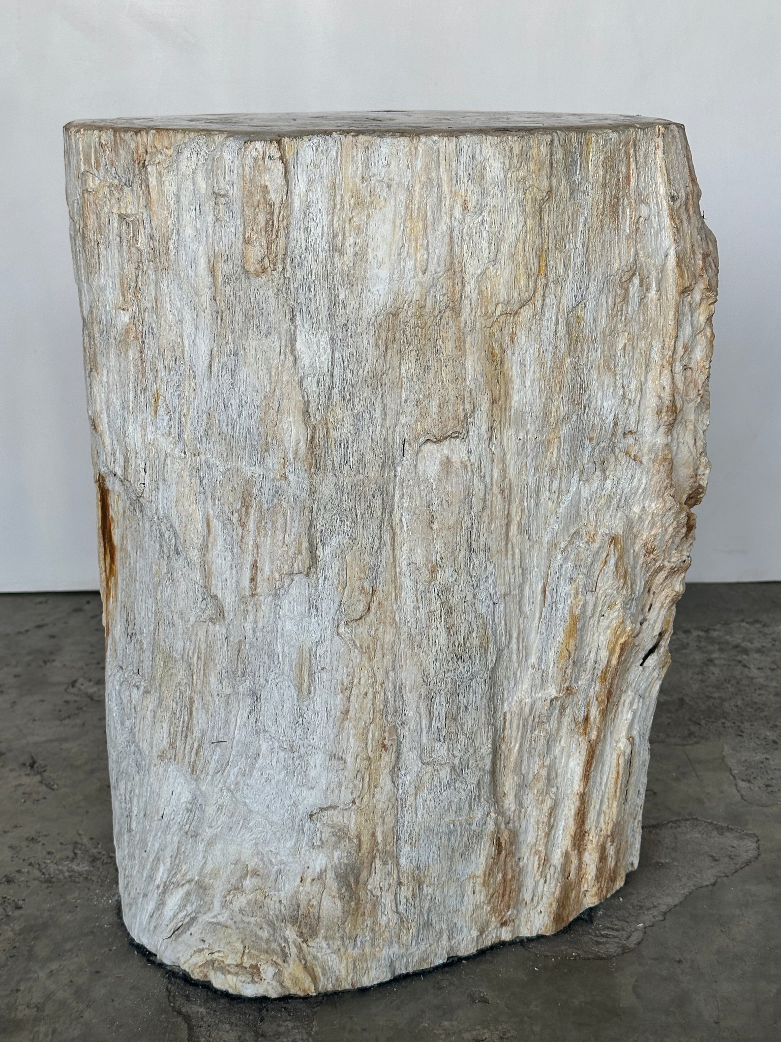 Grande table d'appoint en bois pétrifié à dominante blanche écorce blanche H:50 D:30-38