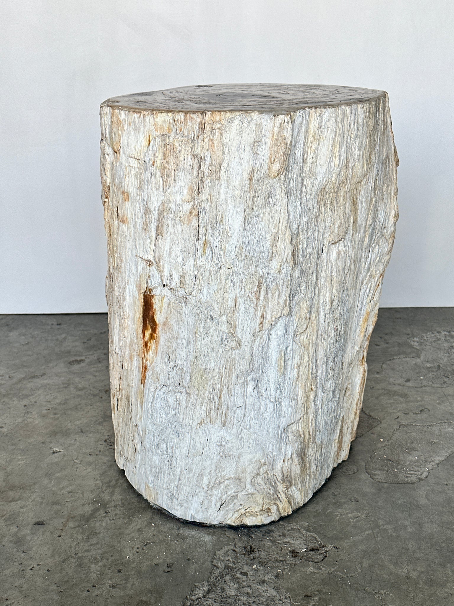 Grande table d'appoint en bois pétrifié à dominante blanche écorce blanche H:50 D:30-38