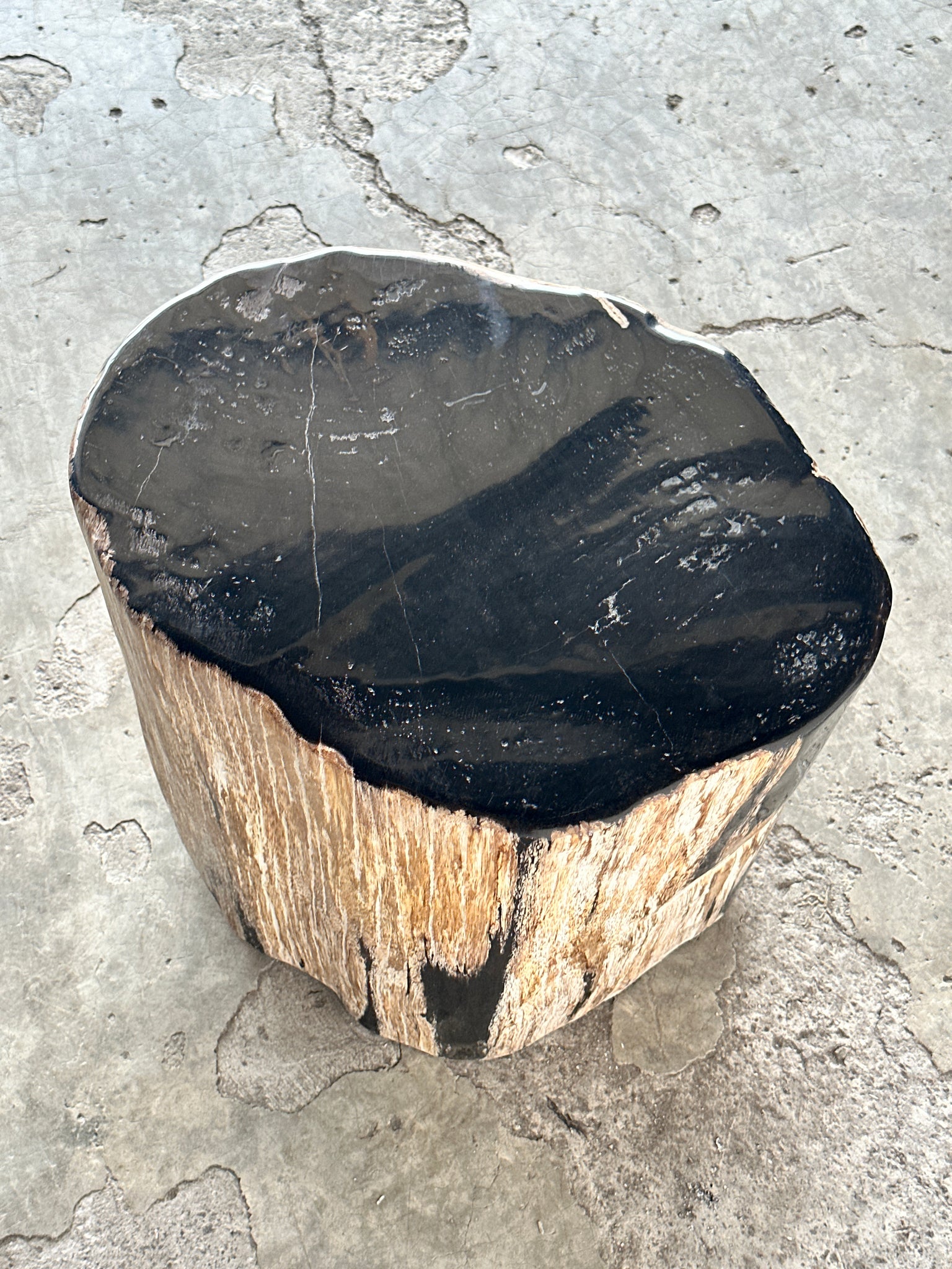 Grande table d'appoint en bois pétrifié forme organique à dominante noire H:40 D:31-42