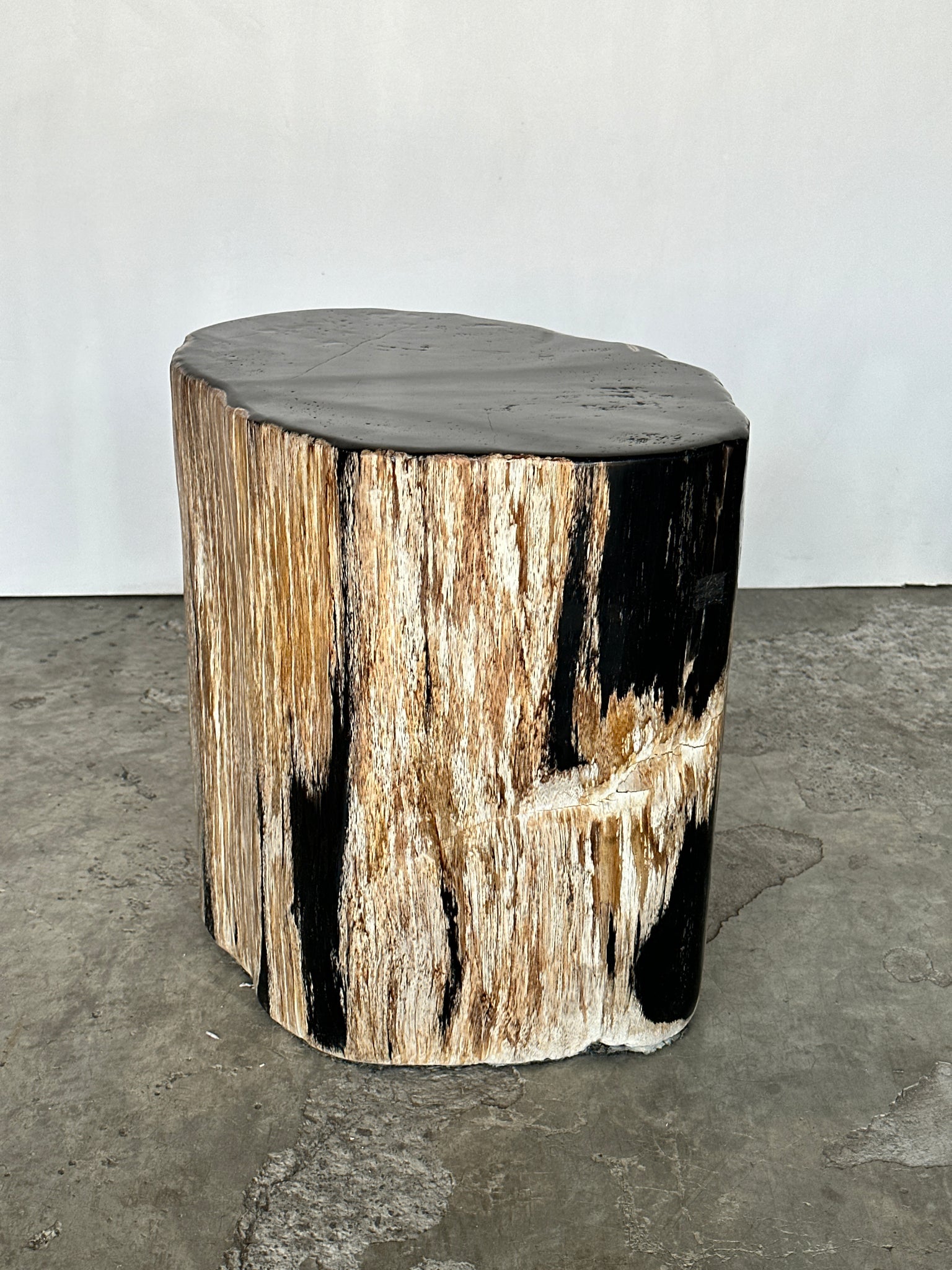 Grande table d'appoint en bois pétrifié forme organique à dominante noire H:40 D:31-42