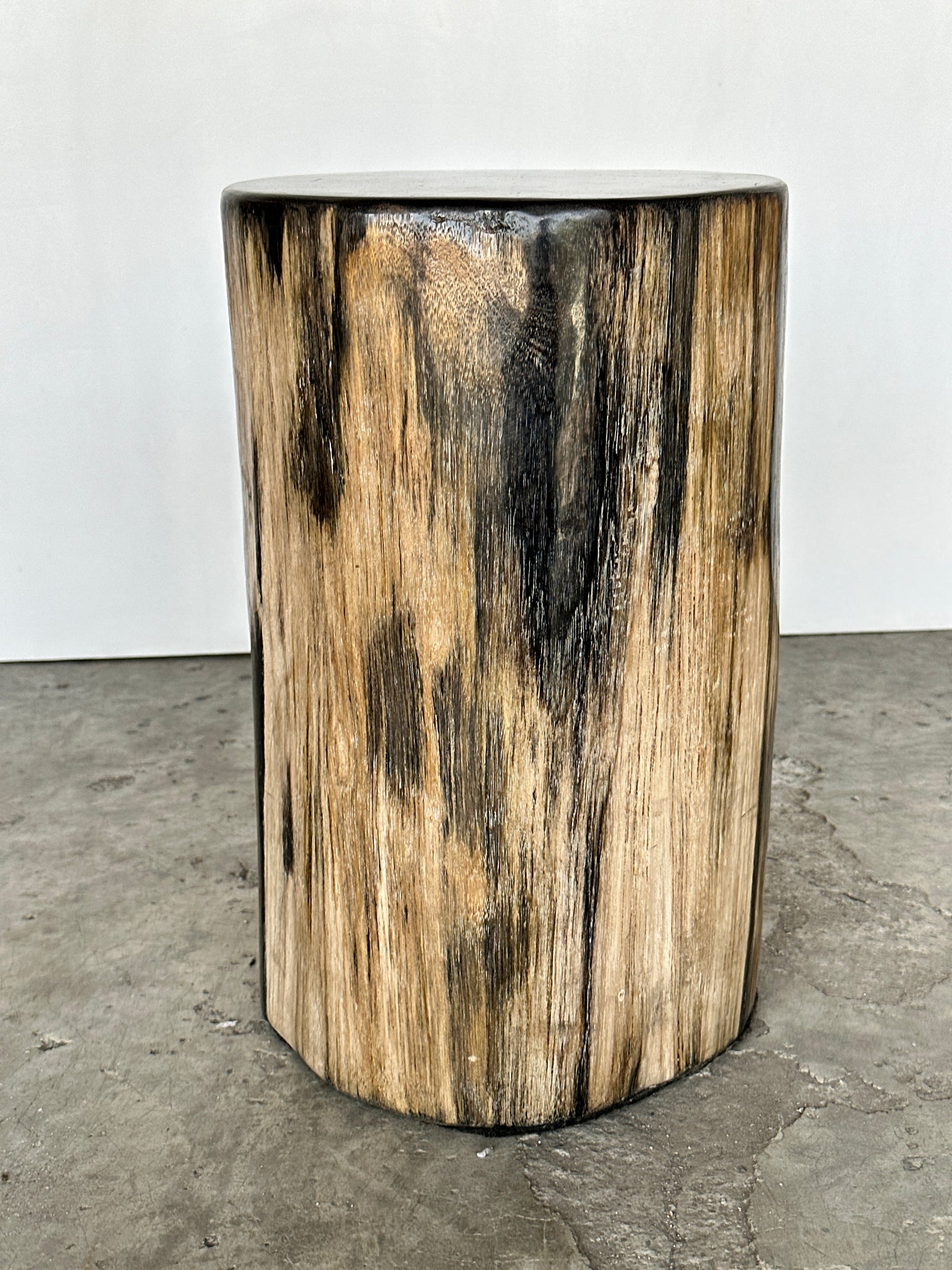 Table d'appoint en bois pétrifié cœur noir écorce capuccino H40 D25