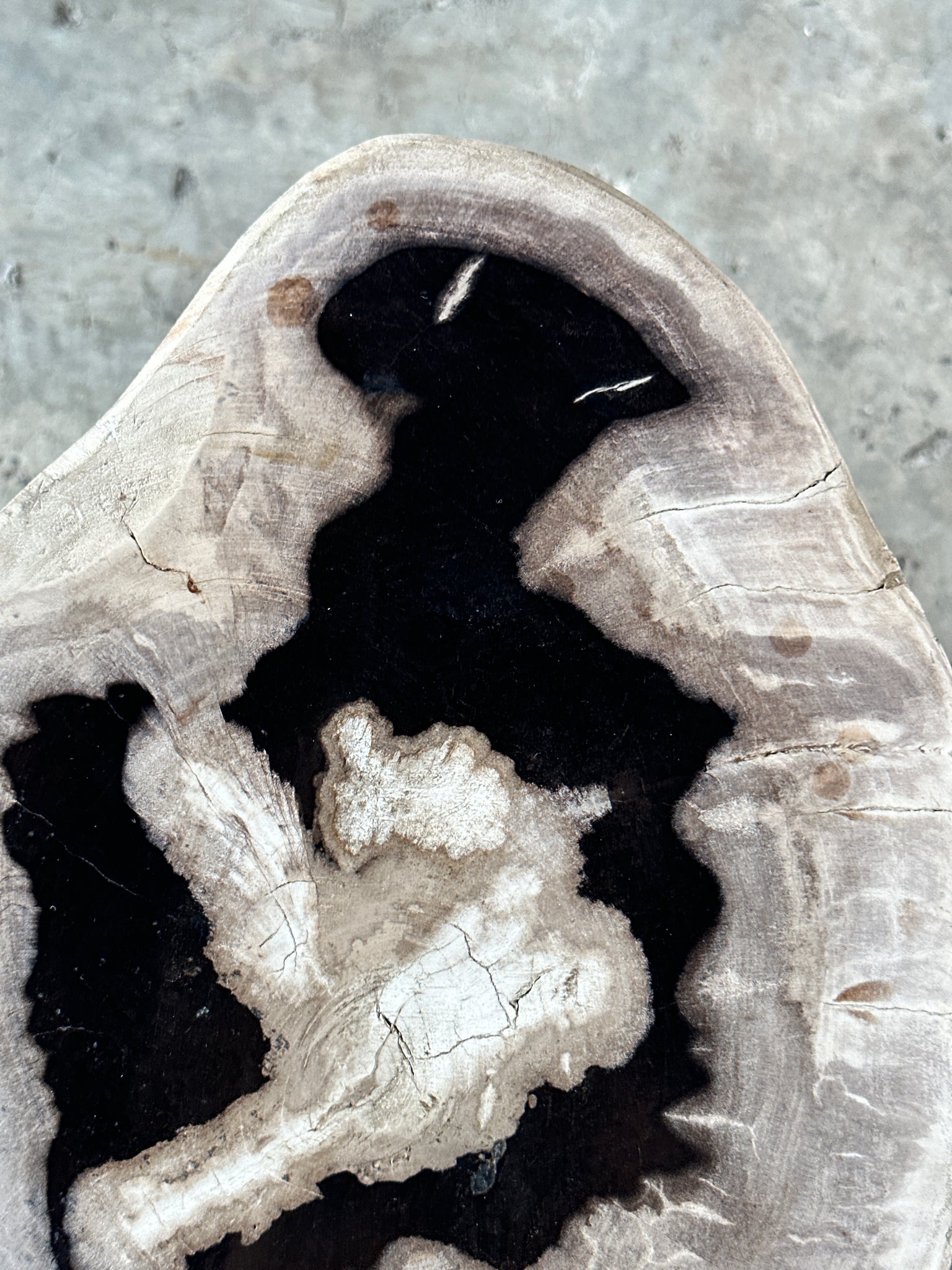 Table d'appoint en bois pétrifié à dominante blanche cœur couronne noire H:40 D:24-30