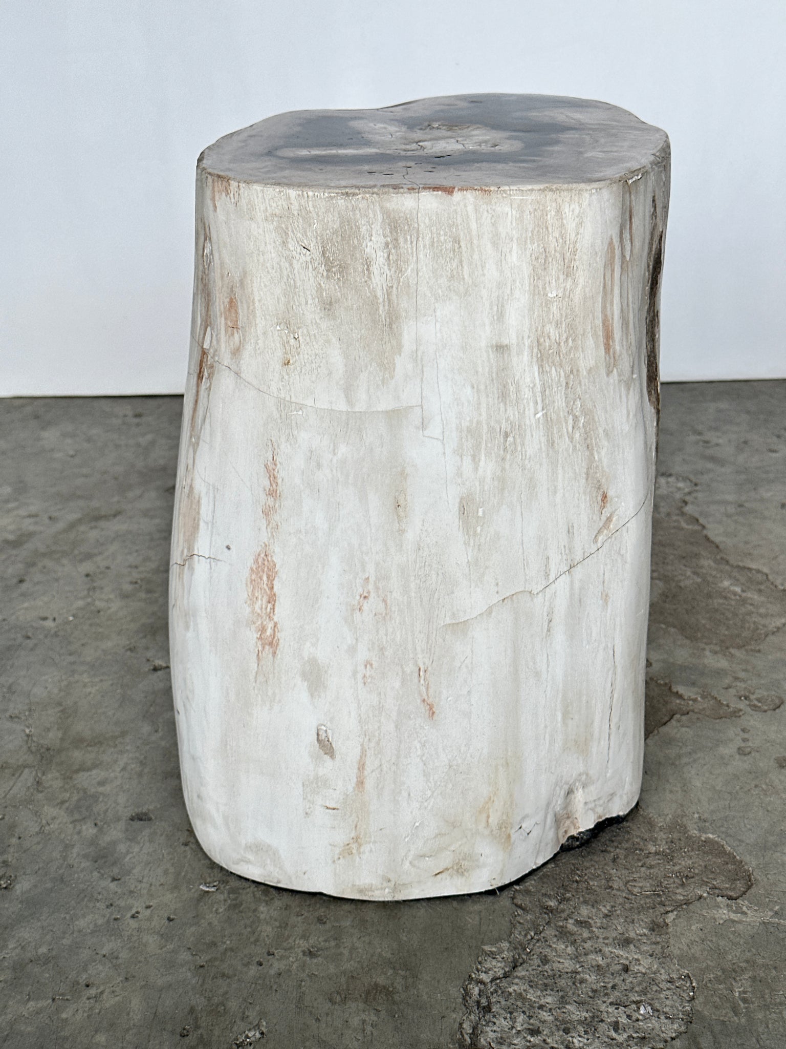 Table d'appoint en bois pétrifié à dominante blanche cœur couronne noire H:40 D:24-30