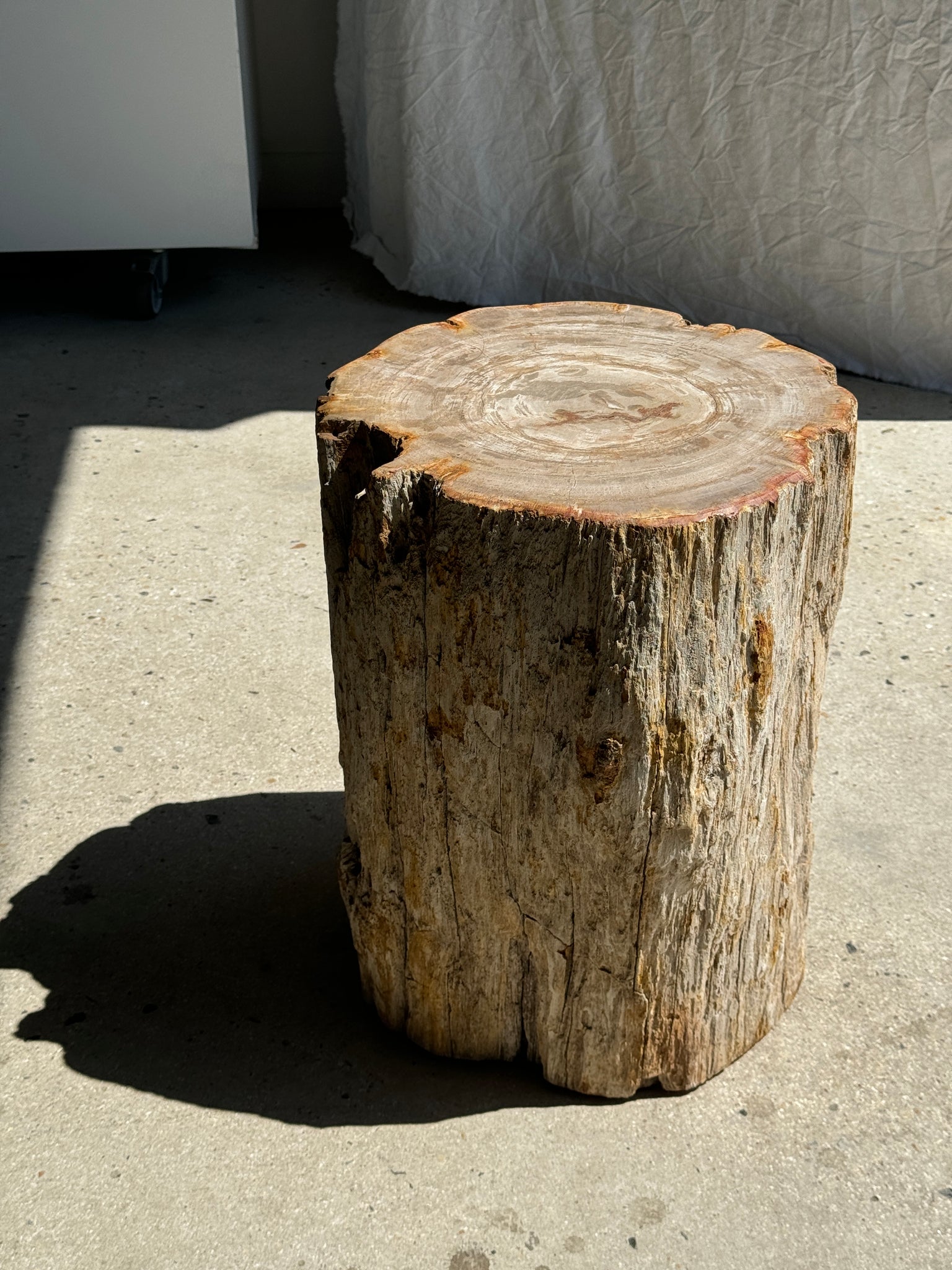 Grande table d'appoint en bois pétrifié blanc cassé écorce organique H:45 D:35-37