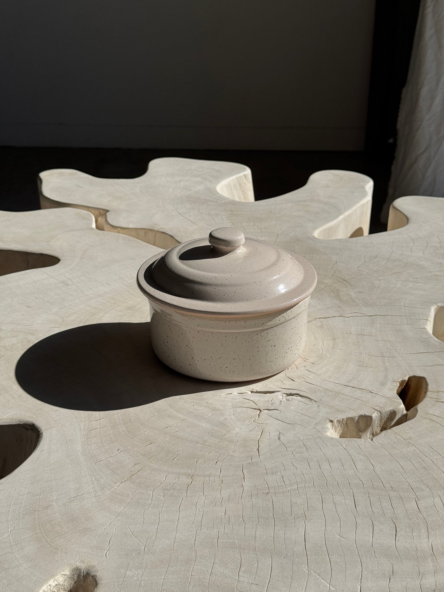 Cocotte blanche mouchetée Digoin France D19